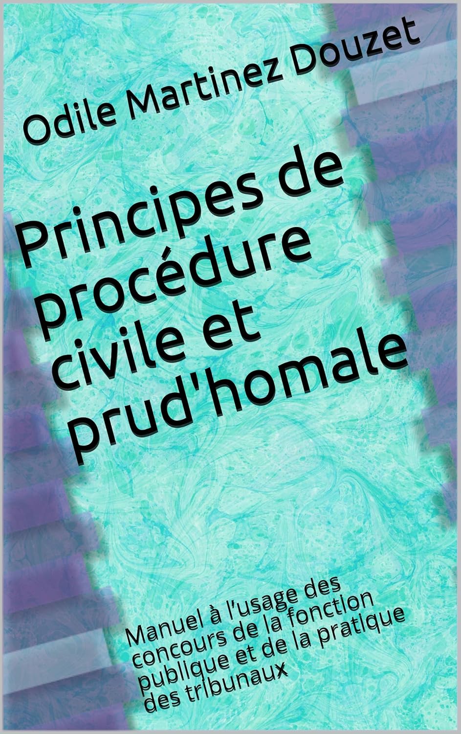 Principes de procédure civile et prud'homale Manuel à l’usage des