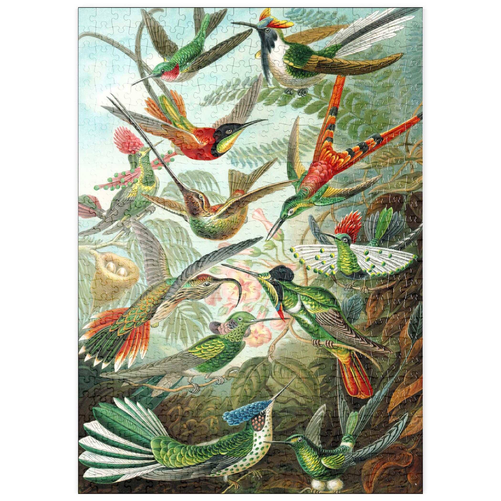 Hummingbirds And Trochilidae (Hummingbirds), Vintage Art Poster, Ernst Haeckel, Premium 500 pieces Puzzle