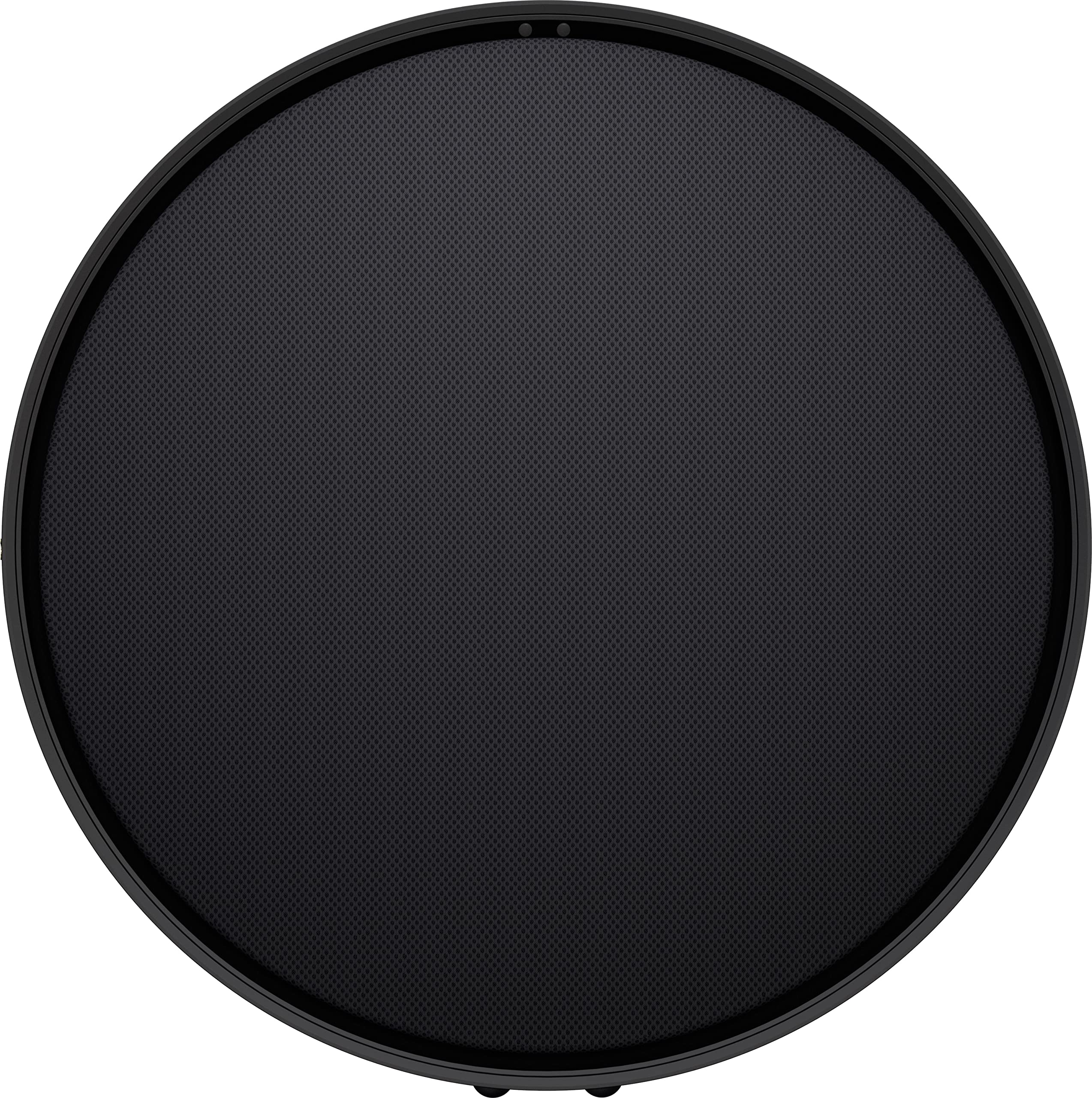 Defunc Haut-Parleur Intelligent Multiroom Home 100W - Enceinte Bluetooth 5.0 Compatible avec Alexa et Airplay2, Son Puissant et de Haute Qualité, Support Mural ou de Sol, Noir