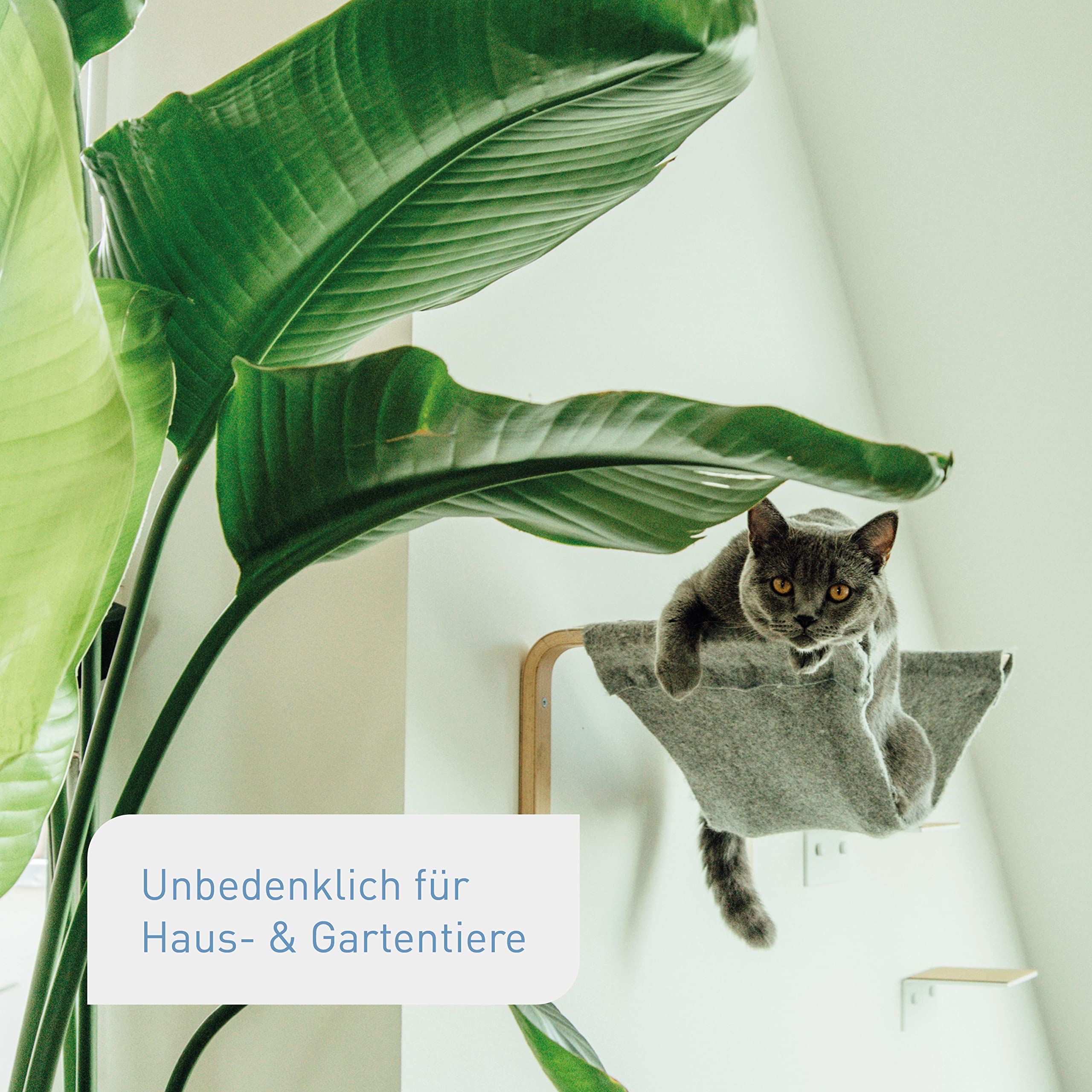 Plantura Bio-Zimmerpflanzendünger, hochwirksamer Flüssigdünger für Zimmerpflanzen, Grünpflanzen & Palmen, rein organisch, mit Dosierhilfe, 800 ml