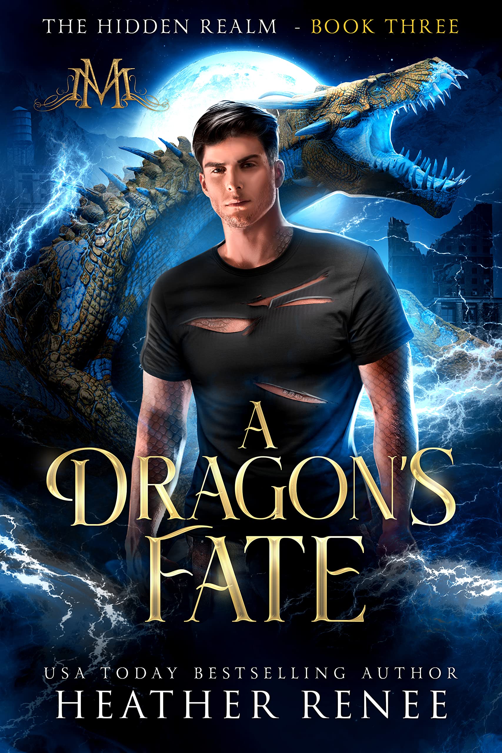 Book cover for A Dragon's Fate