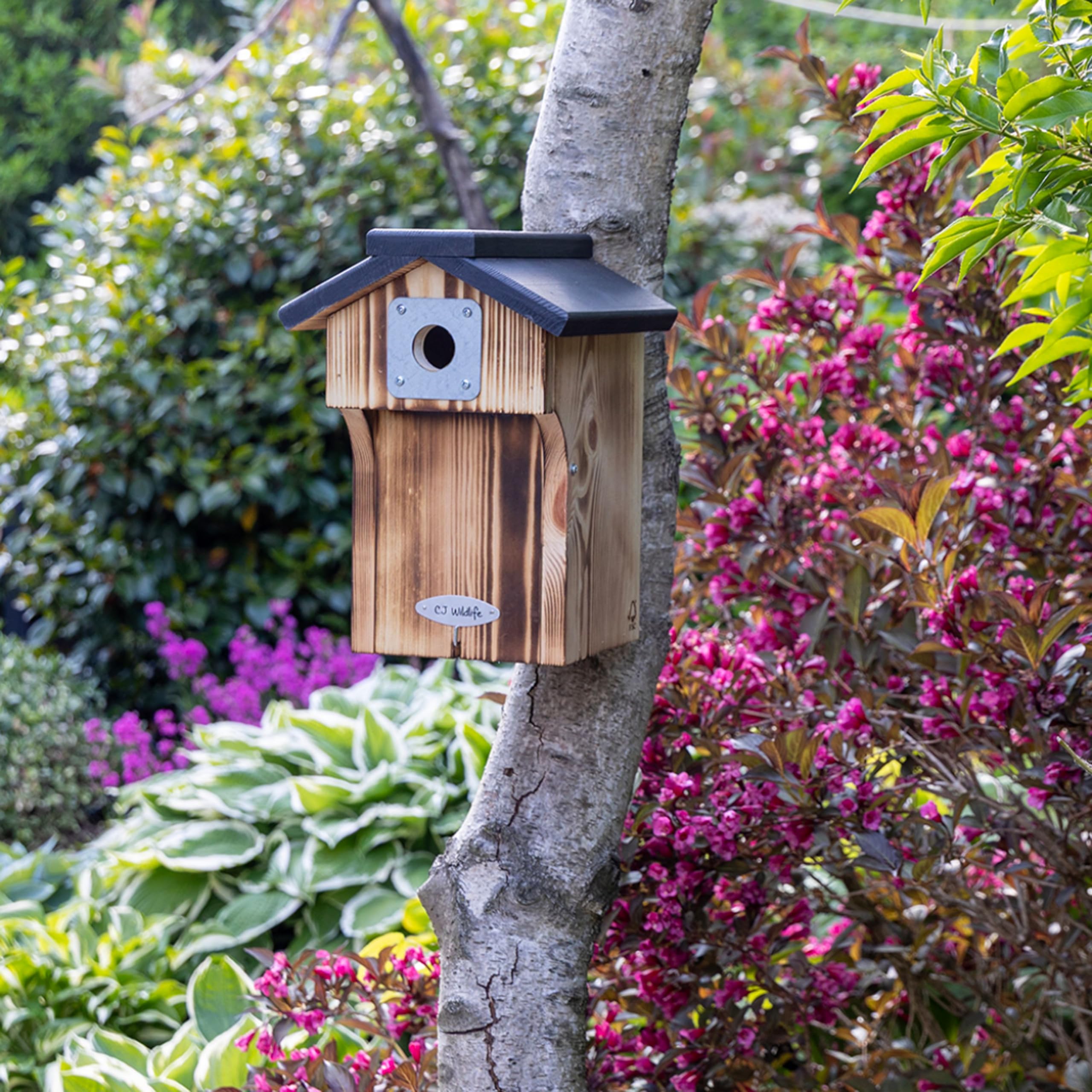 CJ Wildlife Nistkasten – Vogelnistkasten für draußen wetterfest – 32-mm-Einflugloch für Kohlmeise und Kleiber – FSC-Holz mit integriertem Räuberschutzbalkon