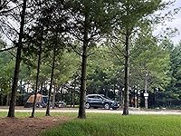 Review Image by Cristina Noriega Cristina Noriega