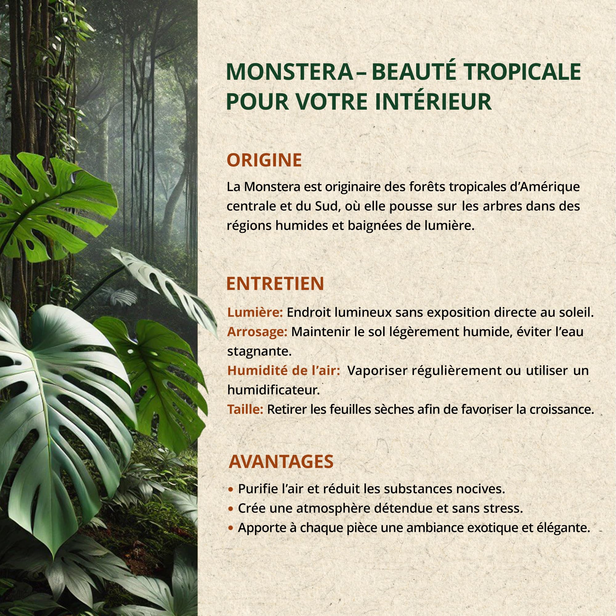 Monstera Erde für Zimmerpflanzen und Garten - 6L Monstera Substrat für Pflanzen, Palmen, Blumen - 5 Komponenten Blumenerde