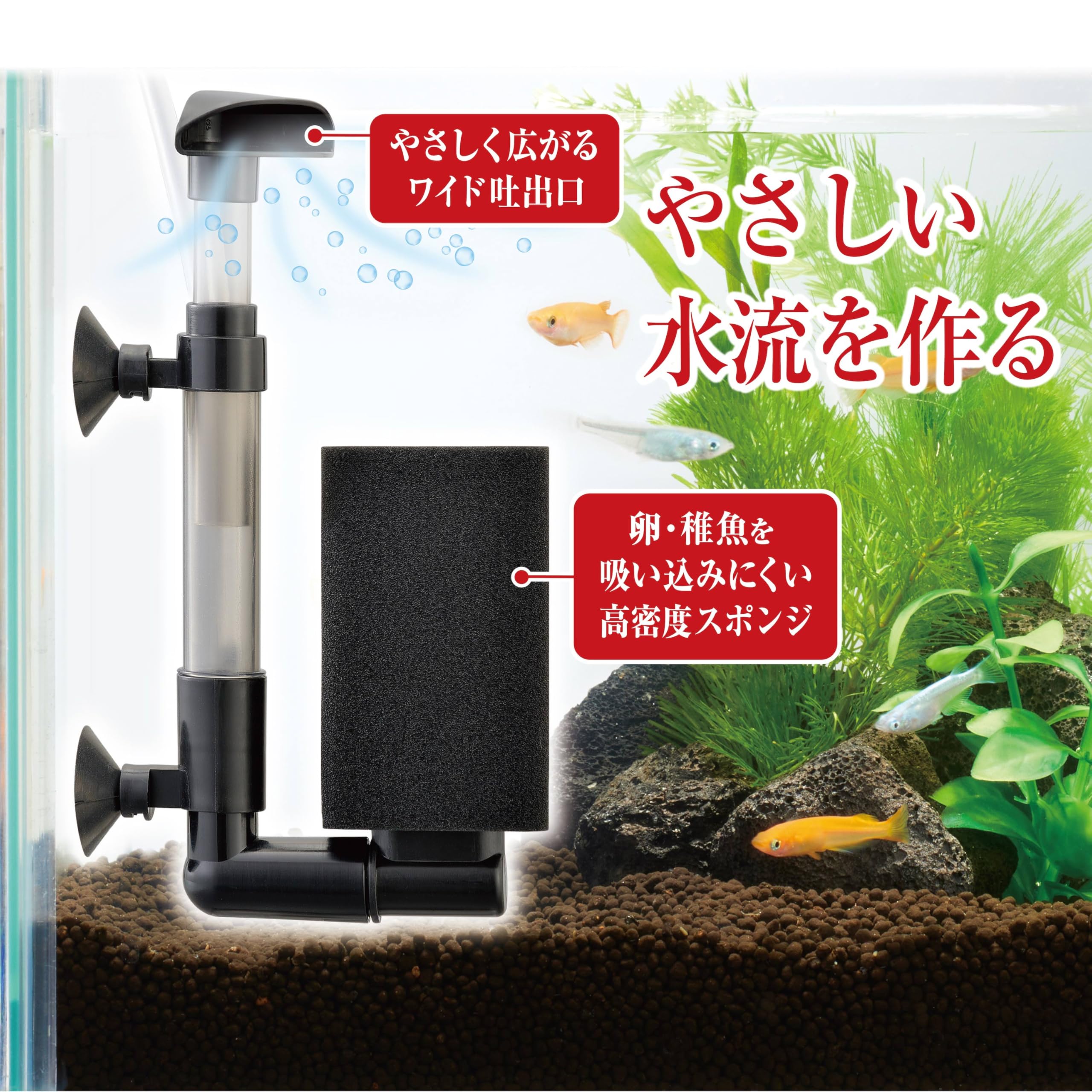 Amazon | ジェックス GEX メダカ元気 メダカのための水槽セット200CUBE