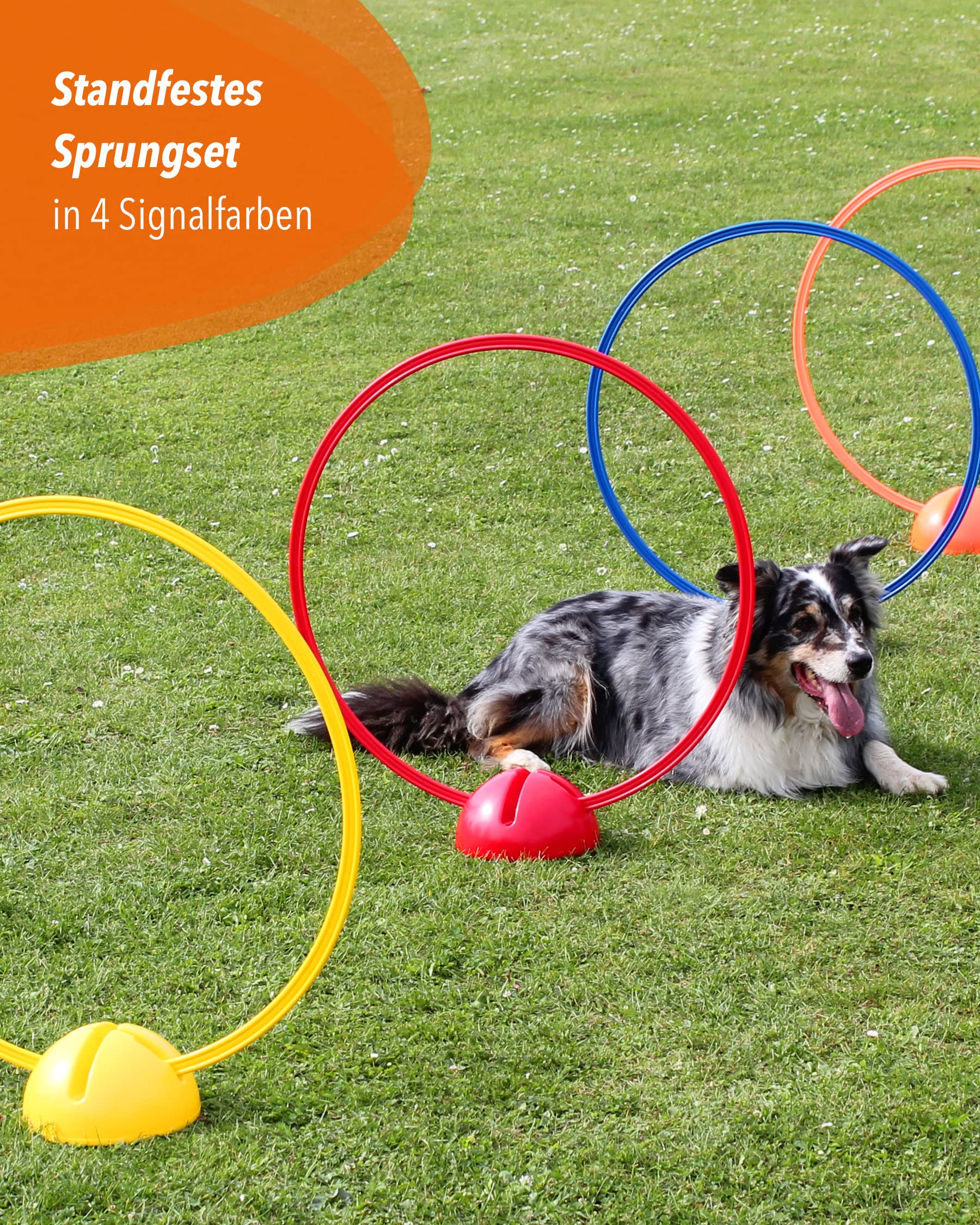 Kombi-X-Standfuß & Kombi-Ring 70 – 4er Set – Multi-Fuß zum Aufbau von Sprung- & Hürden-Parcours – Trainingshilfe für Fußball, Leichtathletik & Hundesport