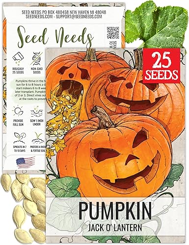 Miniatura 10 de Seed Needs Semillas de calabaza para plantar calabazas Jarrahdale azules, reliquia sin OMG y semilla de Cucurbita Maxima sin tratar para plantar un