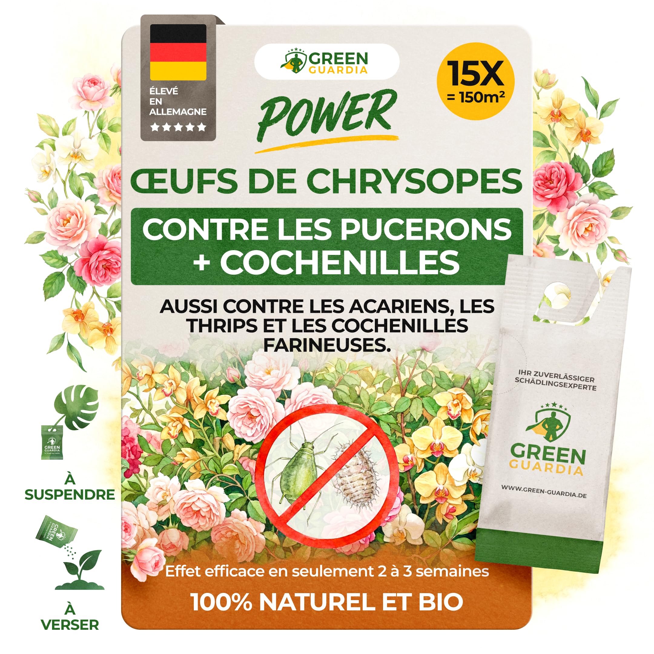 GREEN GUARDIA Power Lot de 15 sachets d'œufs de larves de chrysopes contre les pucerons et les cochenilles – Produit biologique pour lutter efficacement contre les pucerons et les cochenilles pour