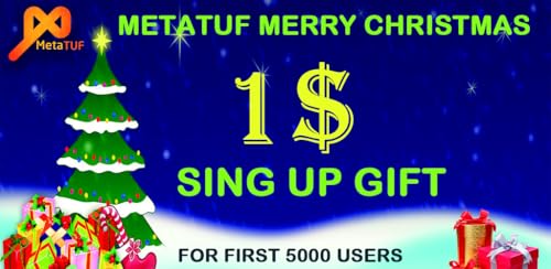 MetaTUF-Invest,Stake,Profit