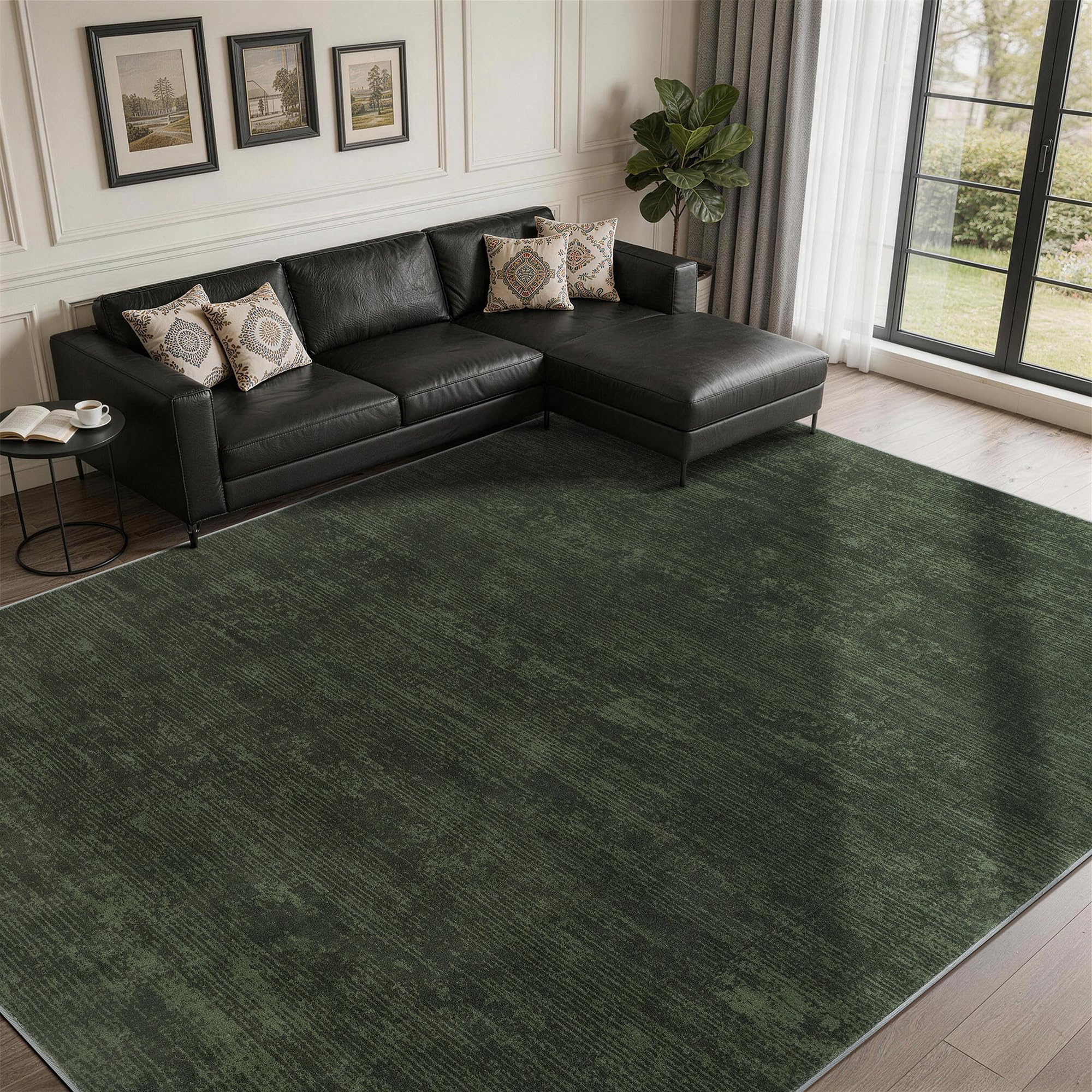 Photo 1 of LIANLAM 5x7 Washable Area Rug