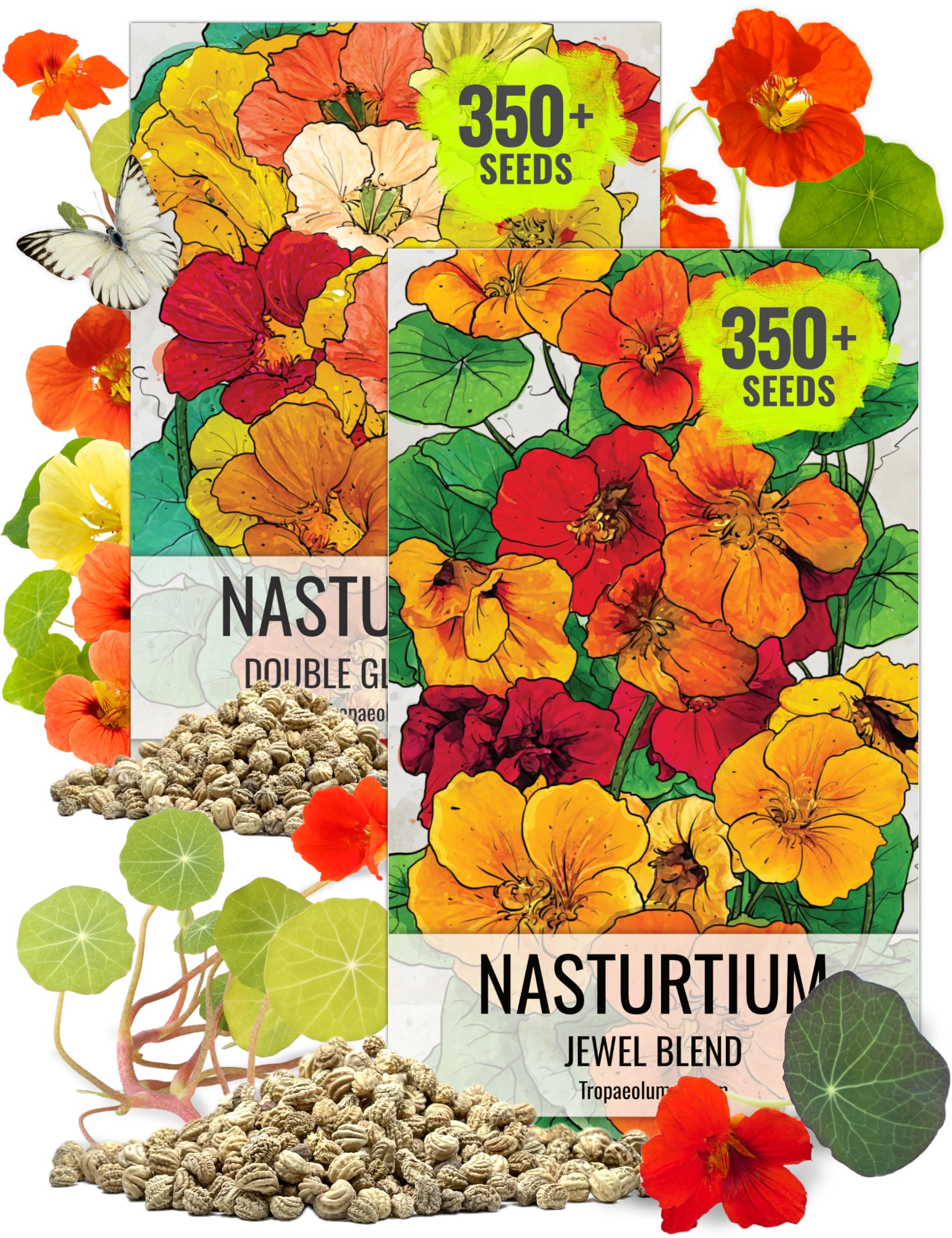Seed Needs Nasturtium Seeds Jewel Blend Double Gleam