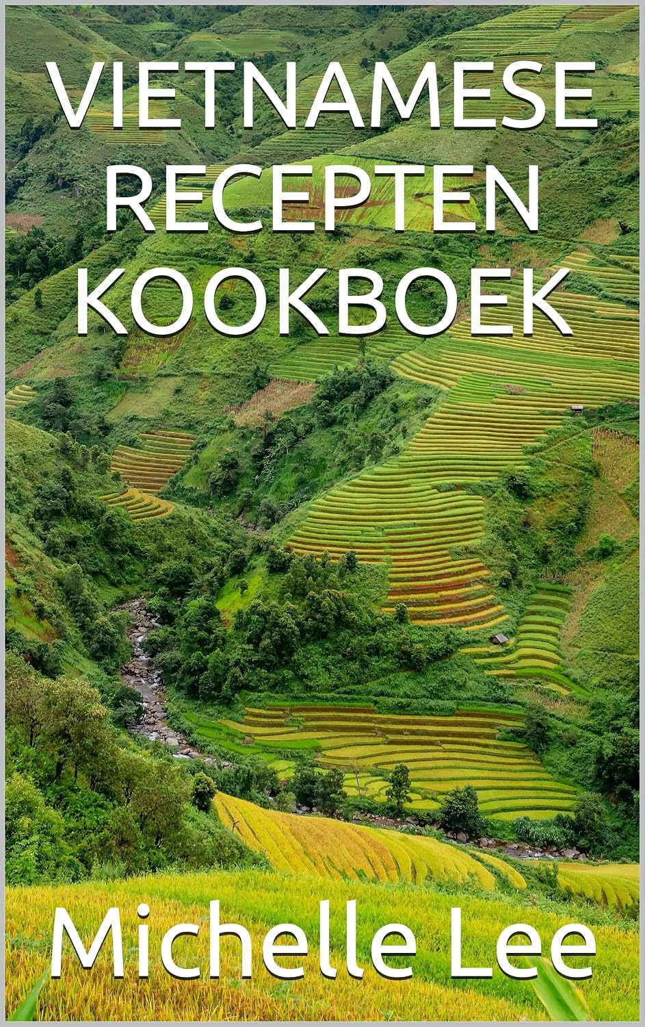 VIETNAMESE RECEPTEN KOOKBOEK (Dutch Edition)