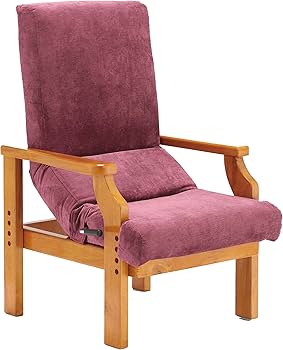 フランスベッド 背楽チェア SEC-01 介護用椅子 背楽チェア SEC-01