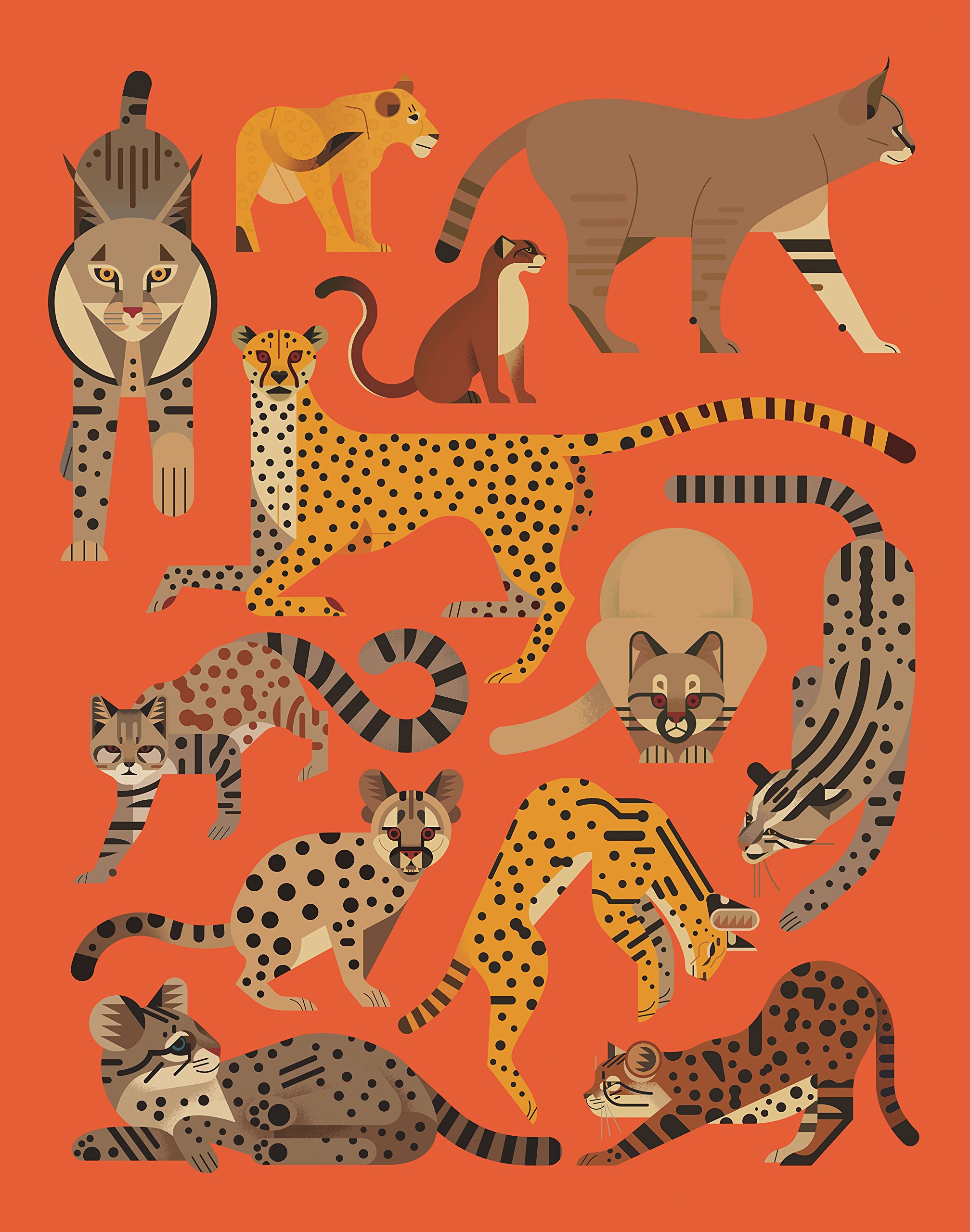 Wilde Katzen: Alles über Tiger, Löwe, Leopard (Luchs, Ozelot, Hauskatze, Puma, Fischkatze, Bergkatze, Schneeleopard, Wildkatze)