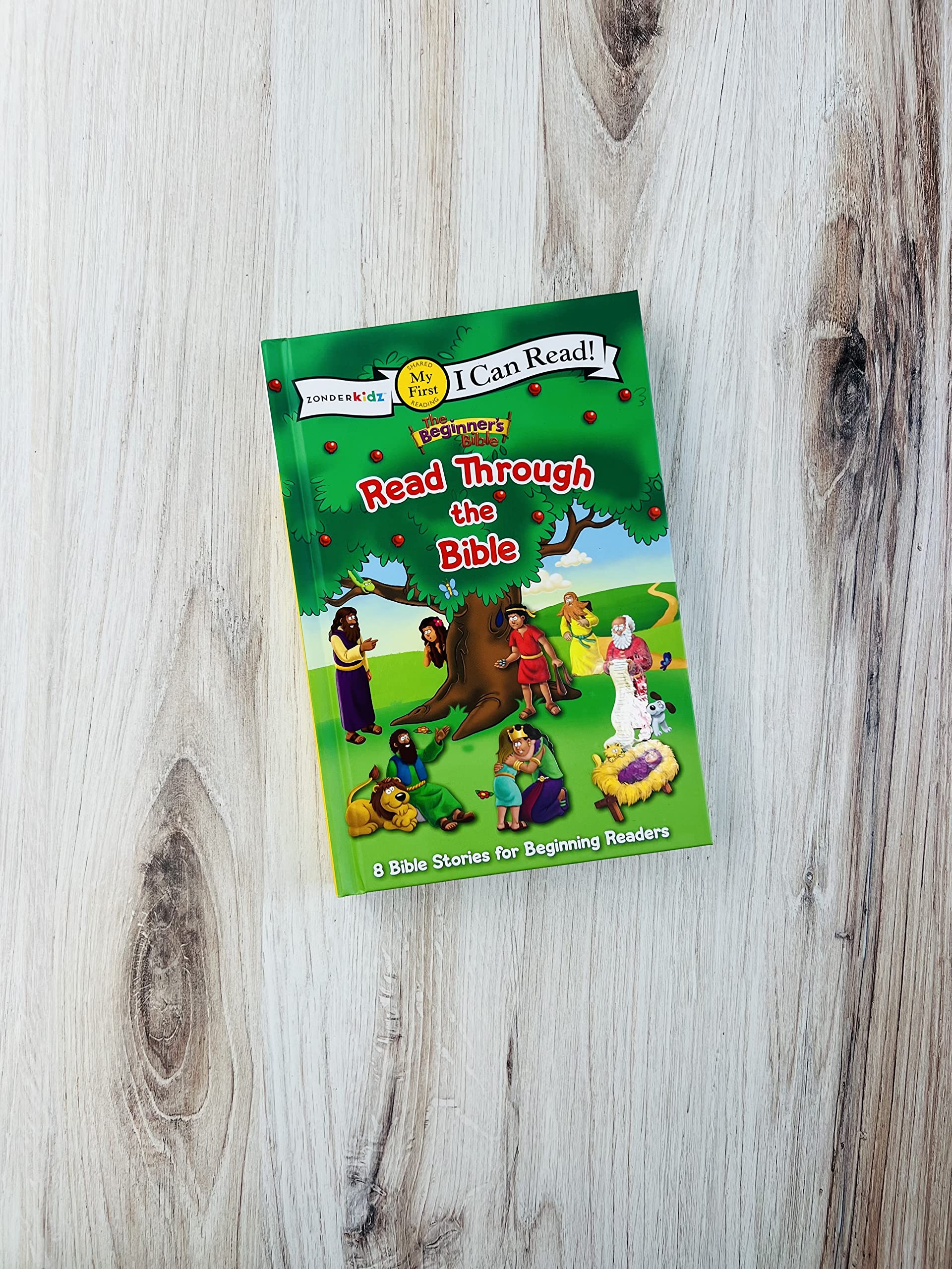 The Beginner's Bible Read Through the Bible: 8 Bible Stories for Beginning Readers - Image 9