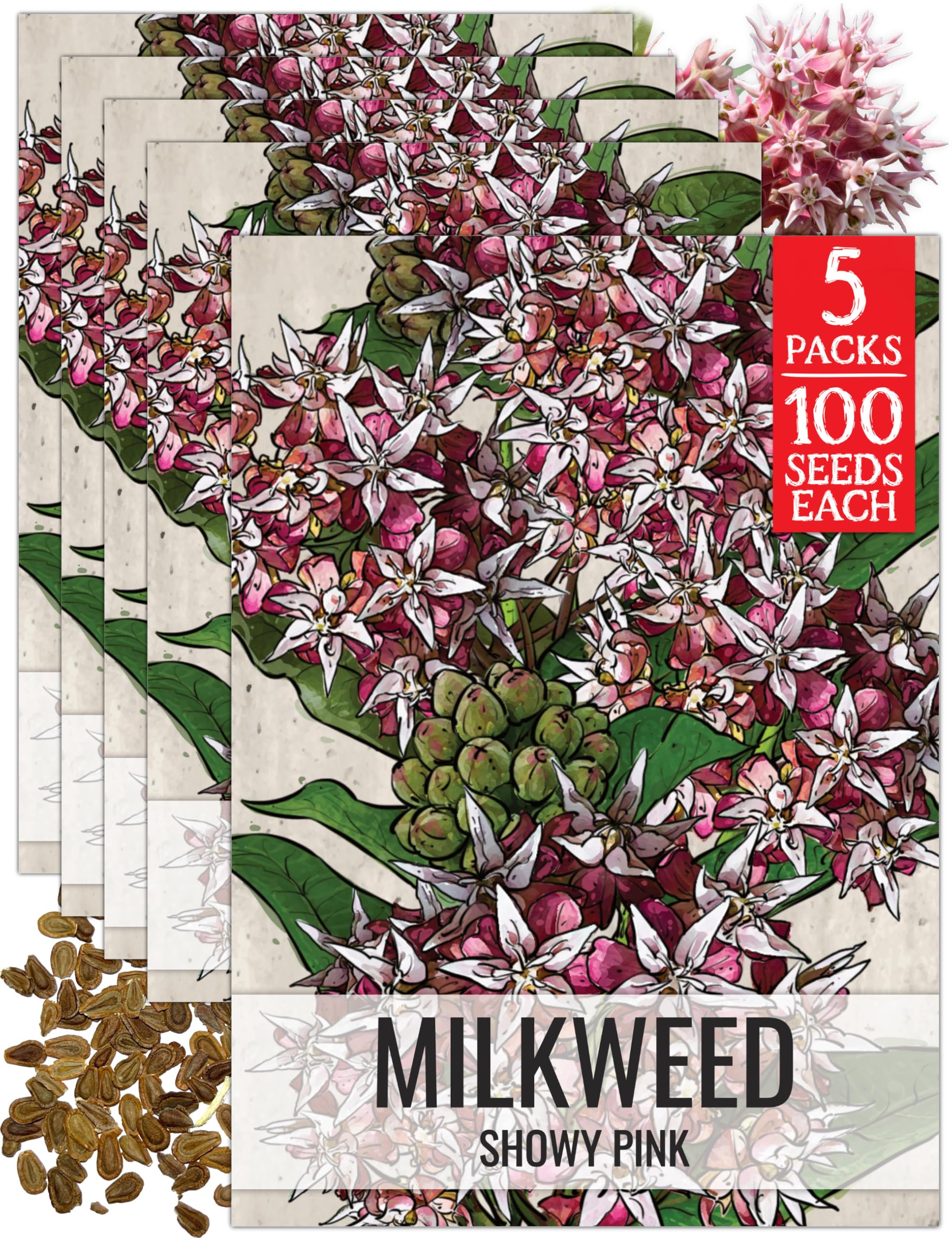 Seed Needs Showy Milkweed Seeds 5 Packs