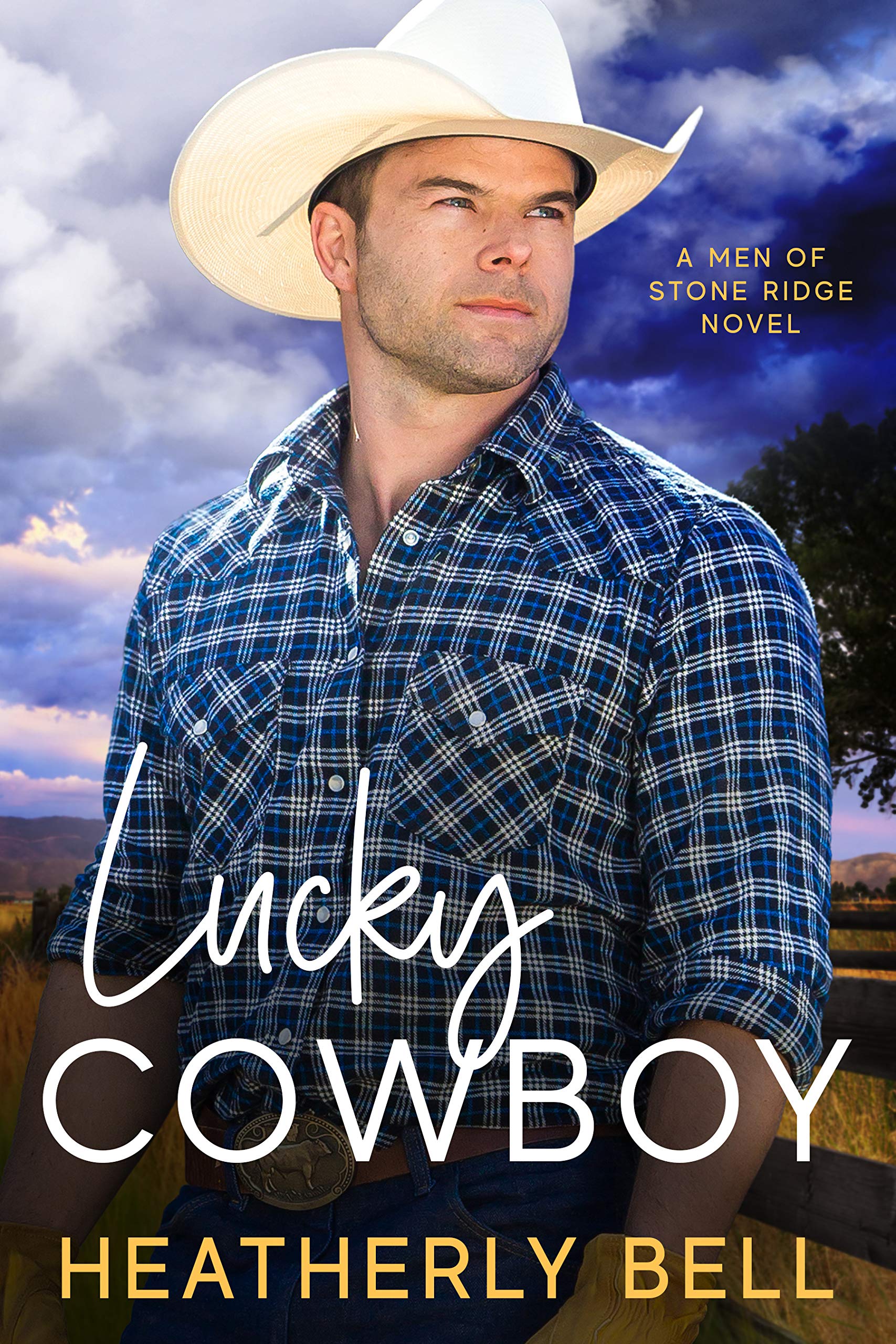 Lucky Cowboy (The Cowboys of Stone Ridge Book 1)