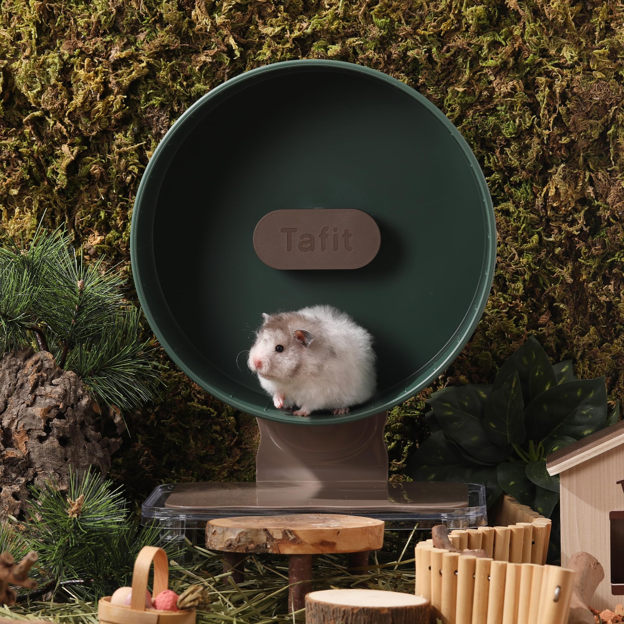 Tafit Quiet Hamster Wheel 10.2 Inch Dual-Bearings Silent Small Animals Running Exercise Wheel Height Adjustable for Syrian Hamsters, Gerbils, Rats, or Other Small Pets, Avocado Green - image 2