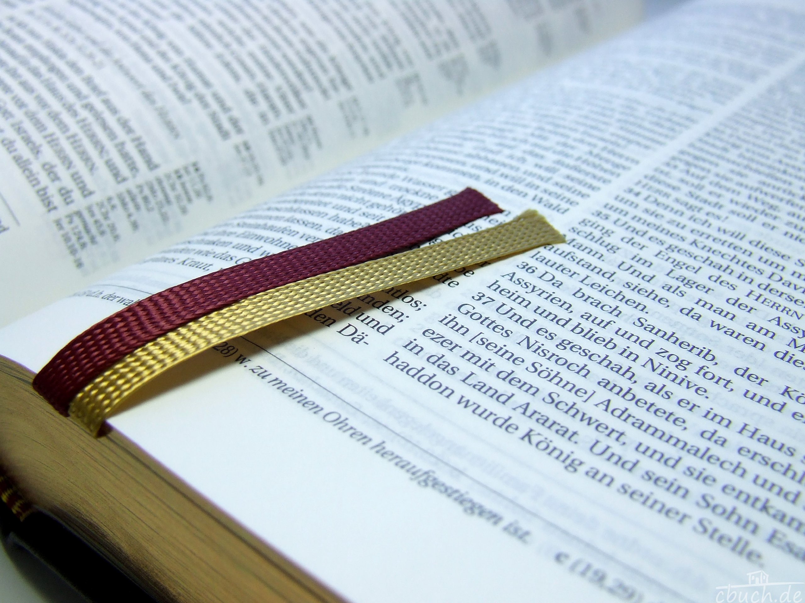 Schlachter 2000 Bibel - Taschenausgabe (Softcover, schwarz, Goldschnitt, Griffregister): Taschenausgabe mit Parallelstellen, Kalbsleder-Einband ... / neue Rechtschreibung / Fadenheftung