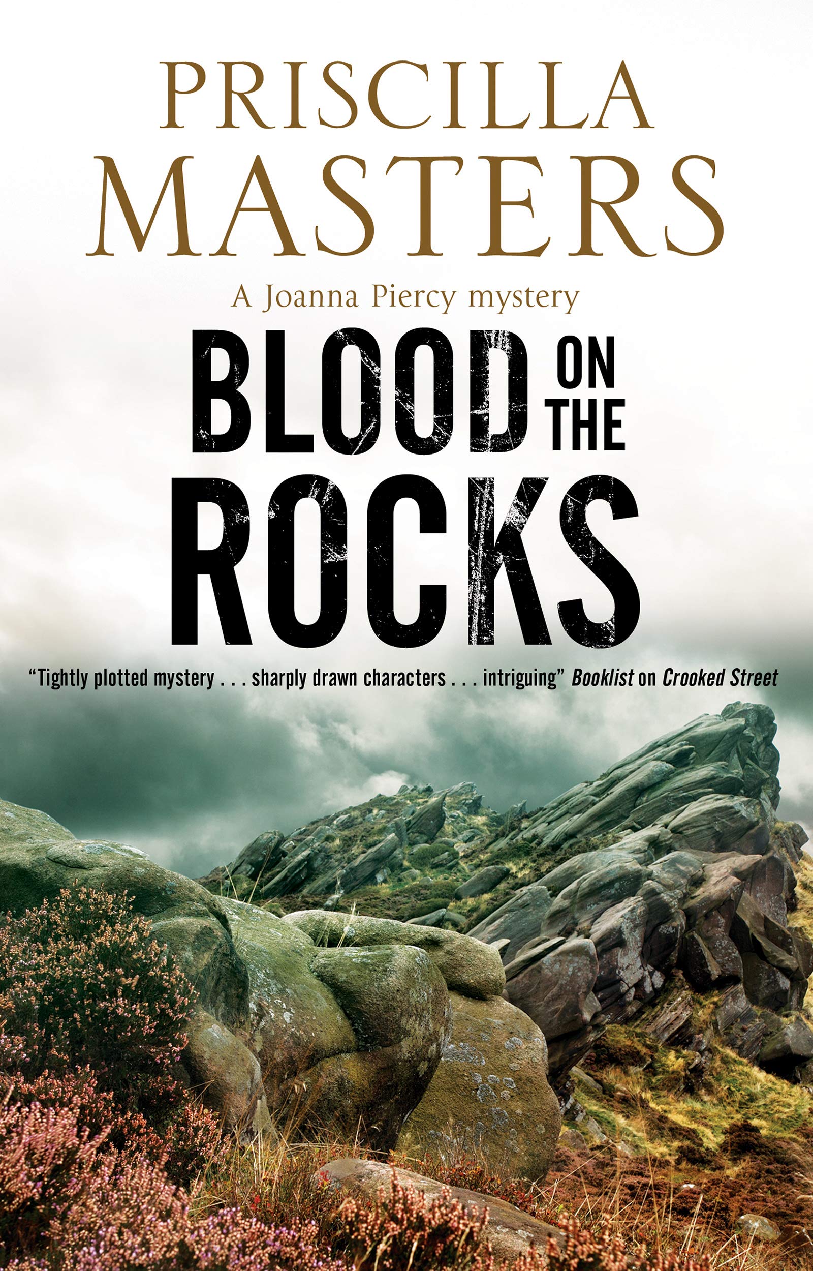 Blood on the Rocks: 14 (A Joanna Piercy Mystery)