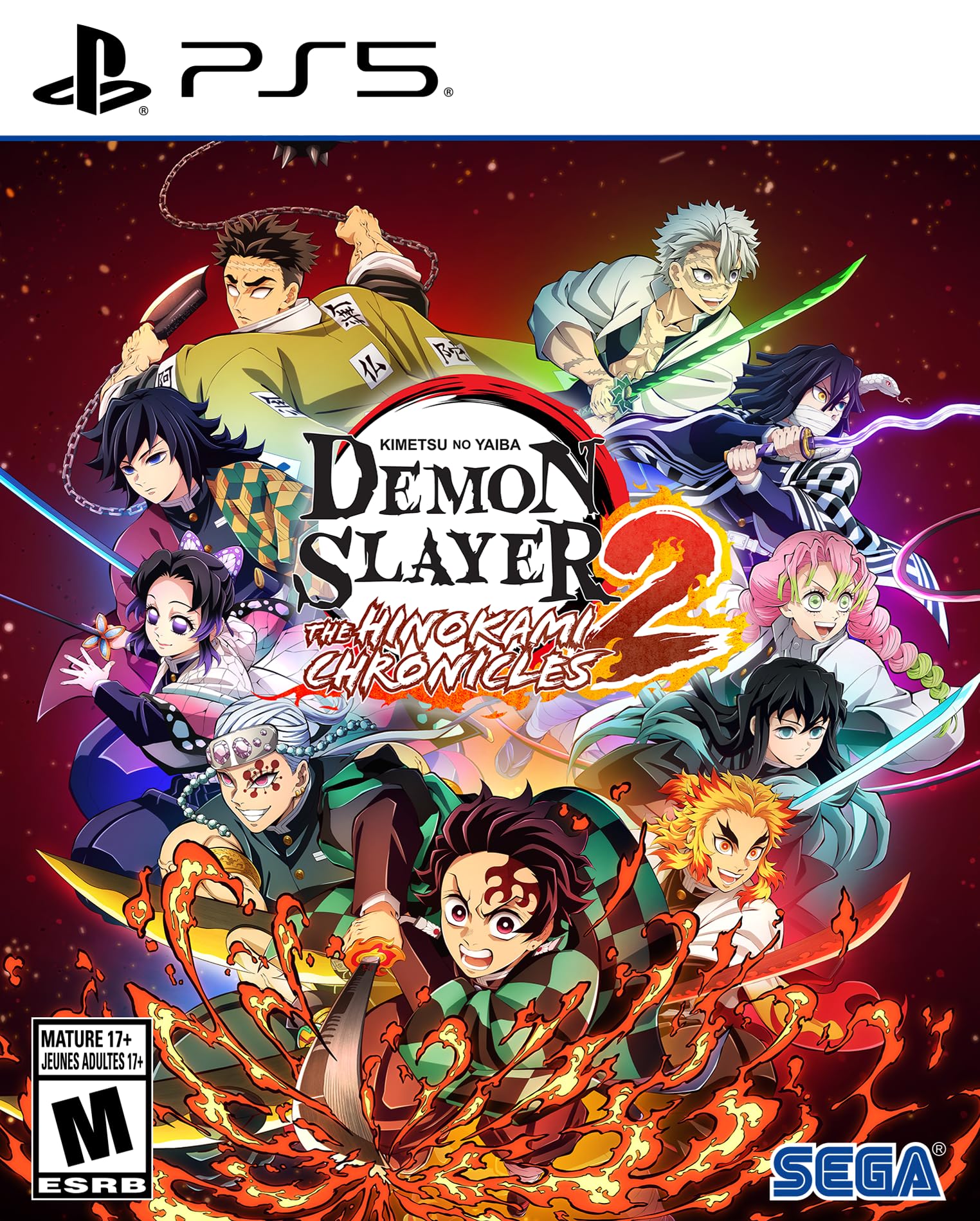 Amazon.com: Demon Slayer -Kimetsu no Yaiba- The Hinokami