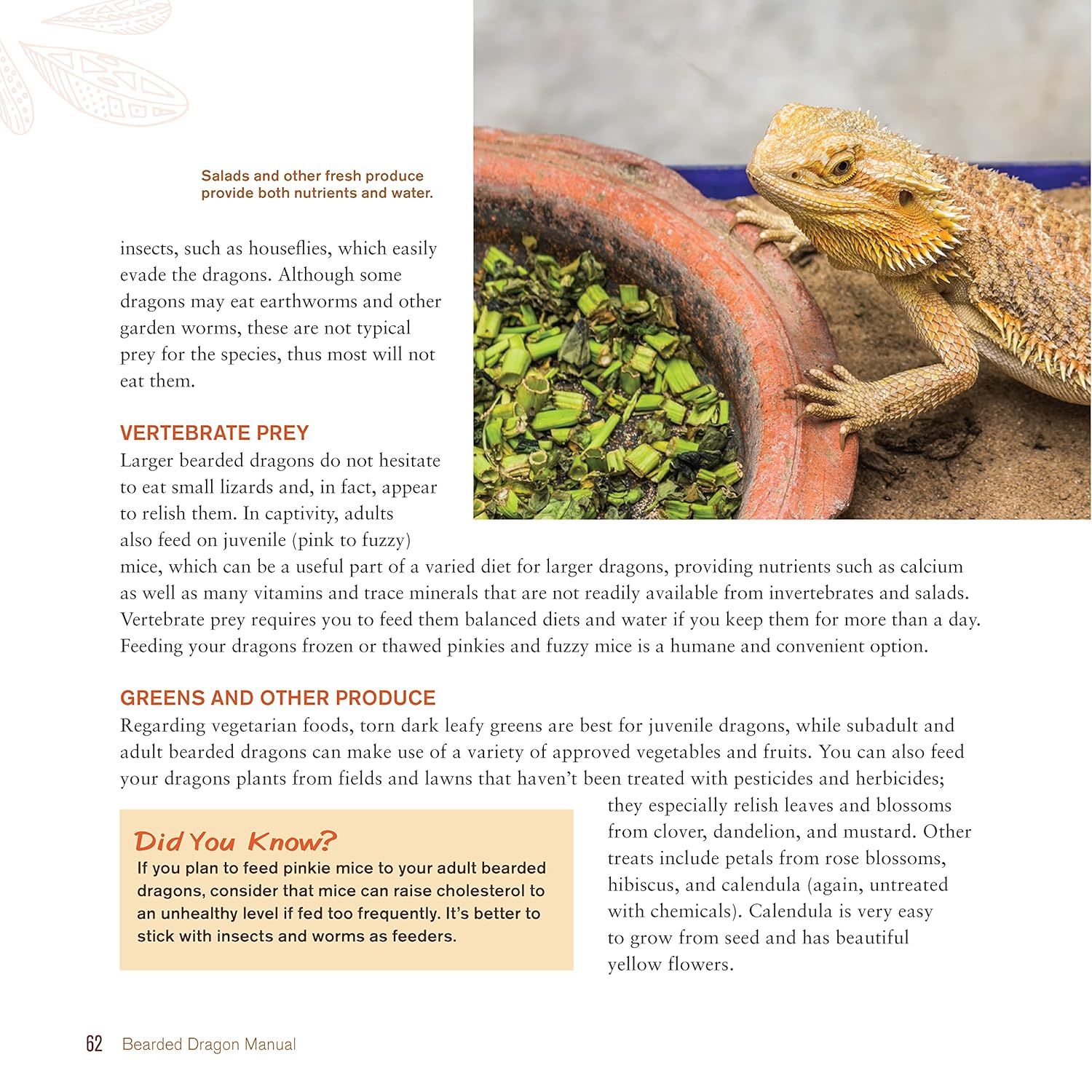 Bearded Dragon Manual, 3rd Edition: Expert Advice for Keeping and Caring for a Healthy Bearded Dragon (CompanionHouse Books) Habitat, Heat, Diet, Behavior, Personality, Illness, Training, FAQ and More