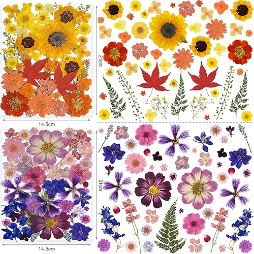 Miniatura 9 de Flores de frutas prensadas secas naturales para molde de resina juego floral de prensado en seco real para hacer joyas tarjetas álbumes de recortes