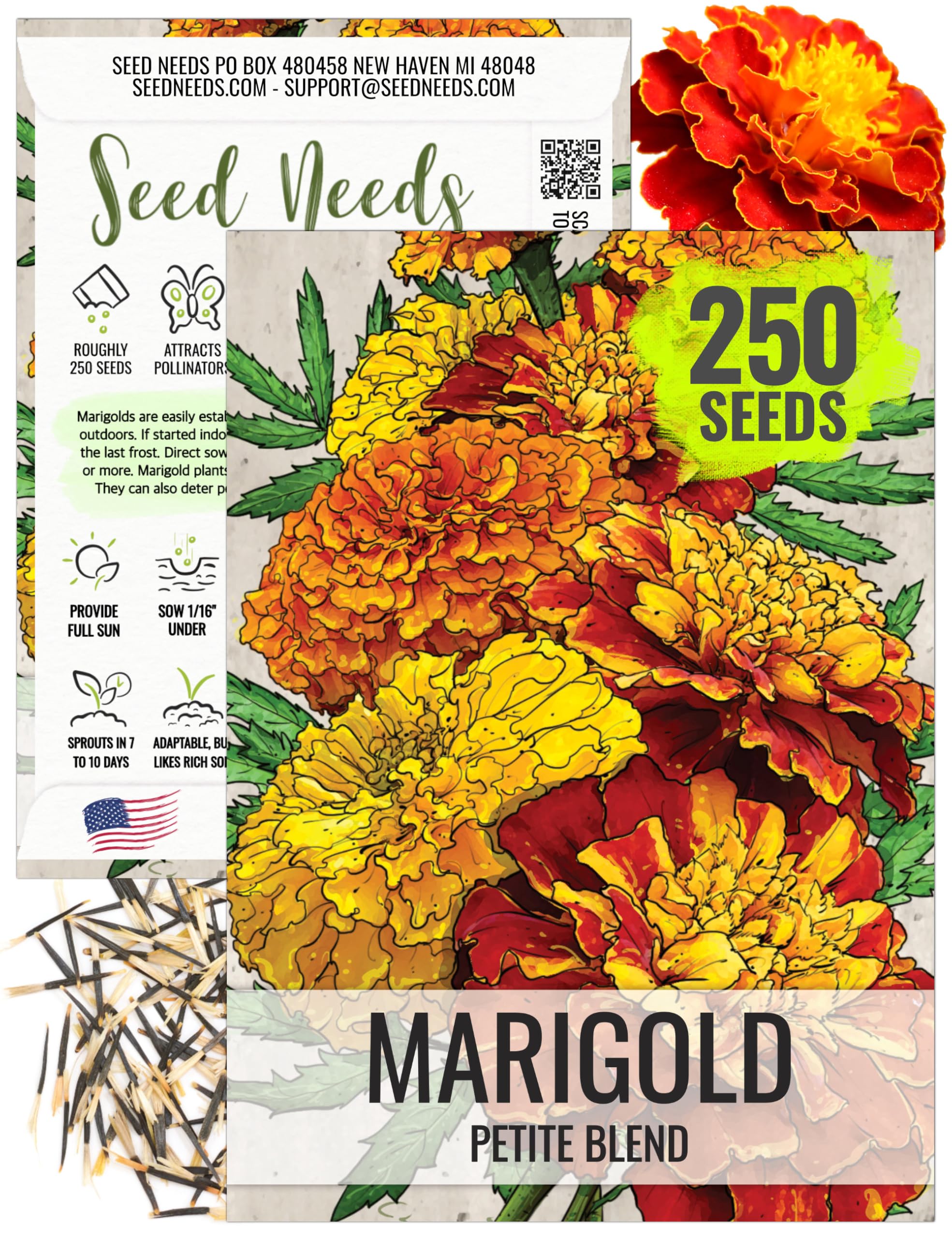 ohio native wildflower seeds Native Short Grass and Wildflower Seed Mix main image 1