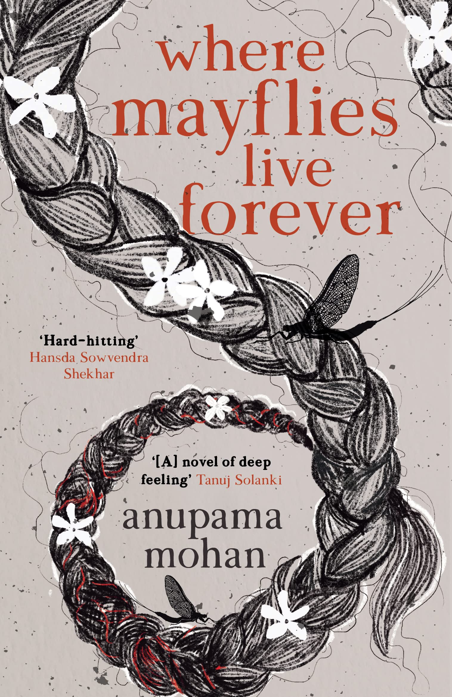 Image of Where Mayflies Live Forever : A Novel