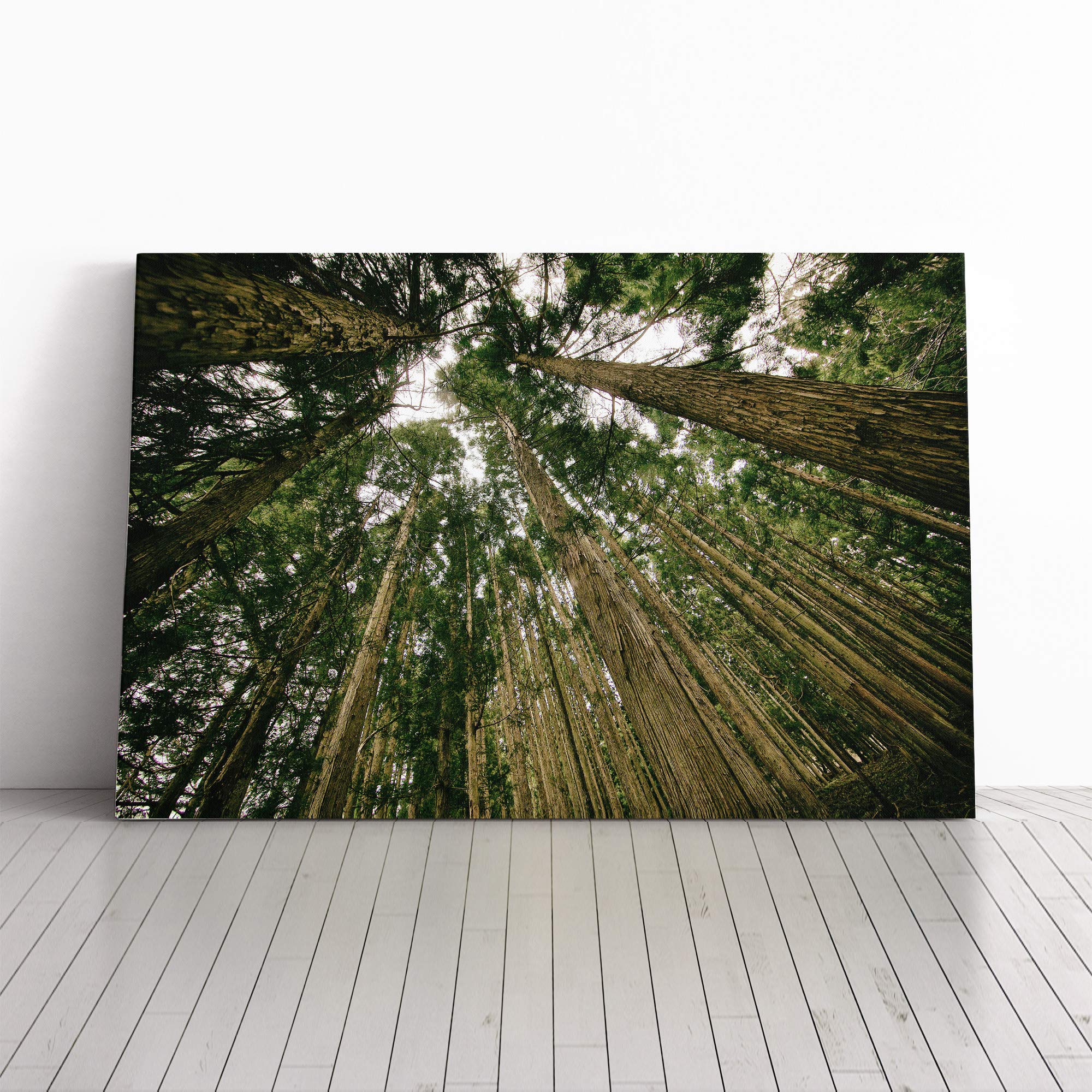 Landscape Woodland Forest Sky Canvas Print | Gallery Wrapped 30mm Frame Wall Art | 30x20 inches | Ready to Hang | Modern Landscape Picture | Living Room Bedroom Lounge Office