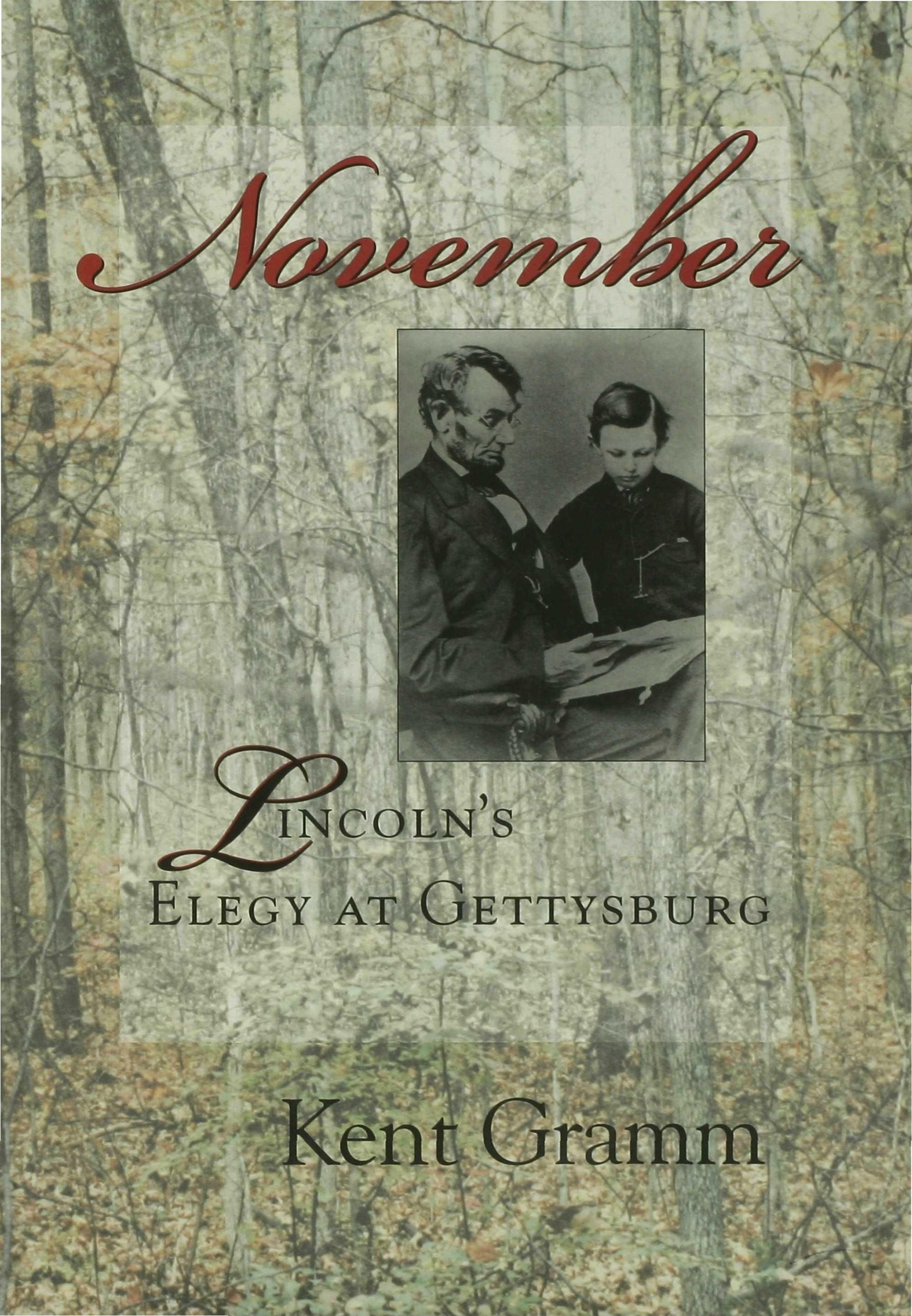 Buy November: Lincoln's Elegy at Gettysburg — BookShops.in