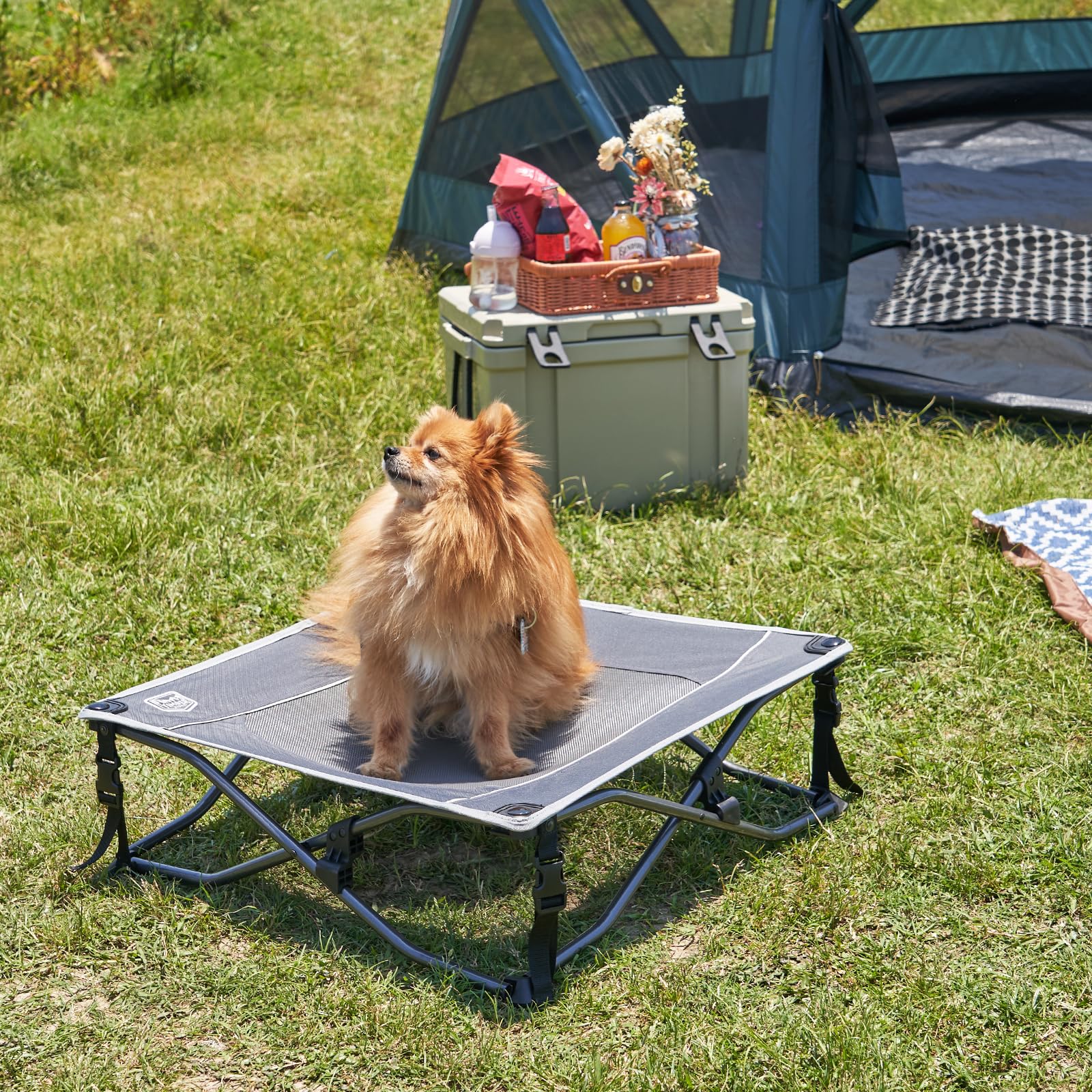 TIMBER RIDGE Outdoor Dog Bed, Cooling Elevated Dog Bed Portable Raised Pet Bed with Breathable Mesh, Foldable Dog Cot for Indoor & Outside, Grey