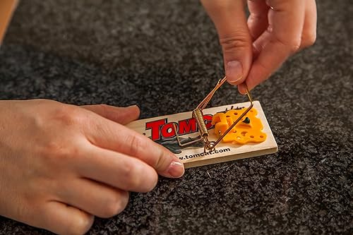 Miniatura 4 de Tomcat Trampas para ratones (madera), forma económica y eficaz de atrapar ratones en el hogar, 2 trampas (paquete de 2)