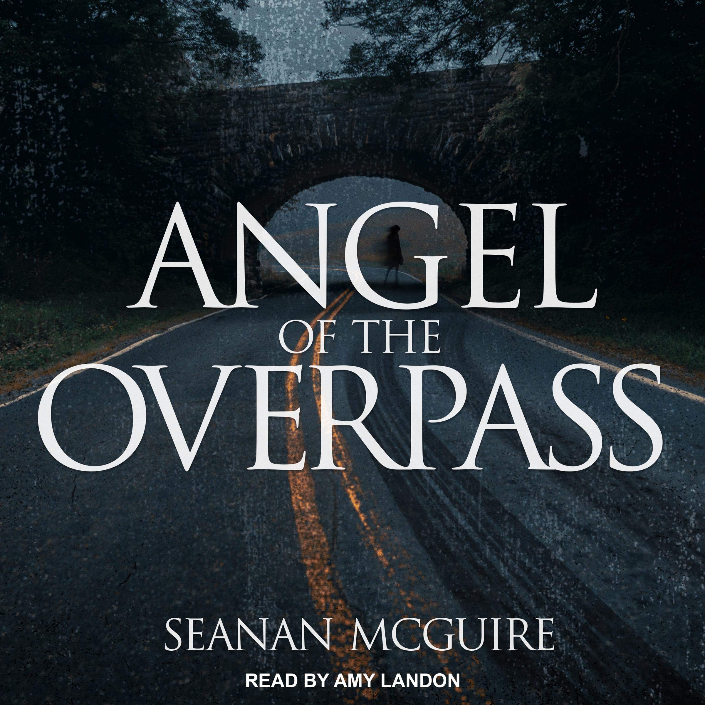 Cover art for Angel of the Overpass
