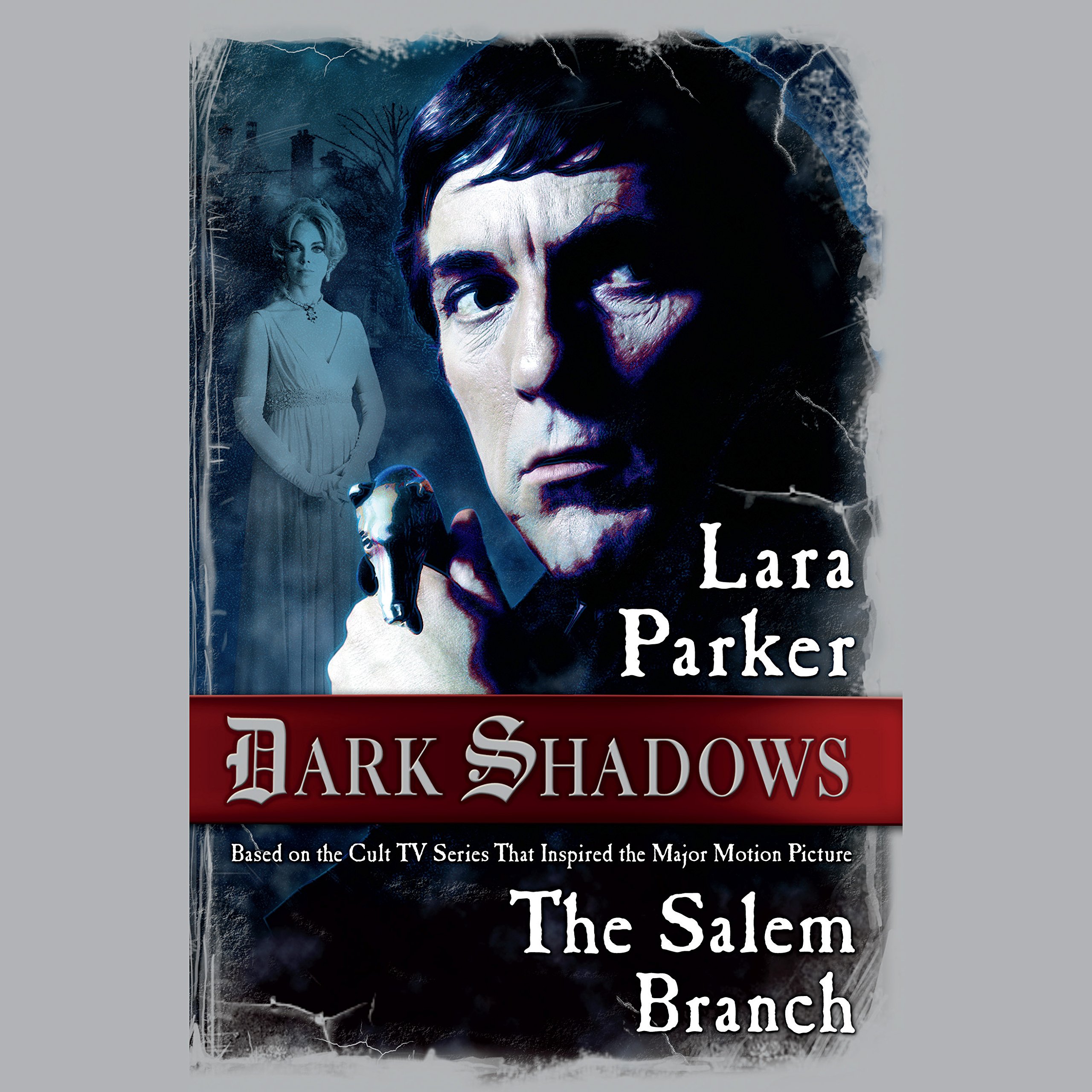 Cover art for The Salem Branch