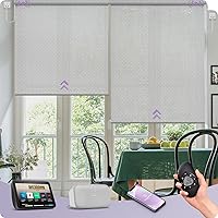 Vista 18 de Graywind - Cortinas solares motorizadas compatibles con Alexa, Google, WiFi, casa inteligente, control remoto, persianas eléctricas con filtro