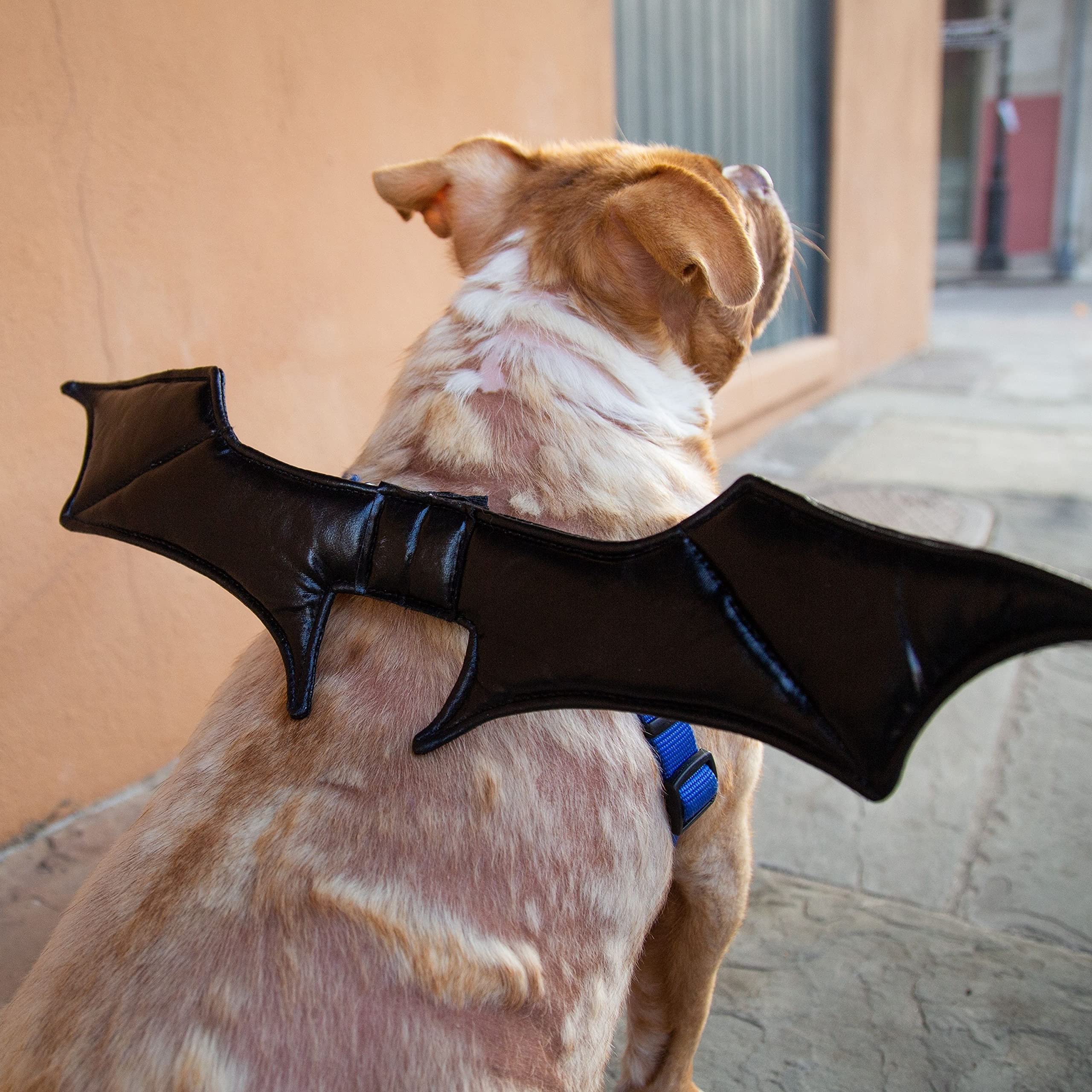 Unicorn Pegasus wing harness leash costume dog pet bat Halloween Amazon.com : Pet Krewe Bat Dog Costume - Bat Wings - Harness  main image 2