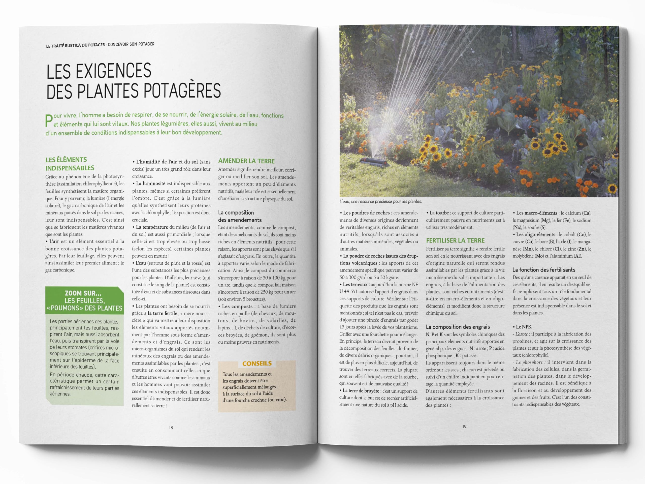 Le traité Rustica du potager
