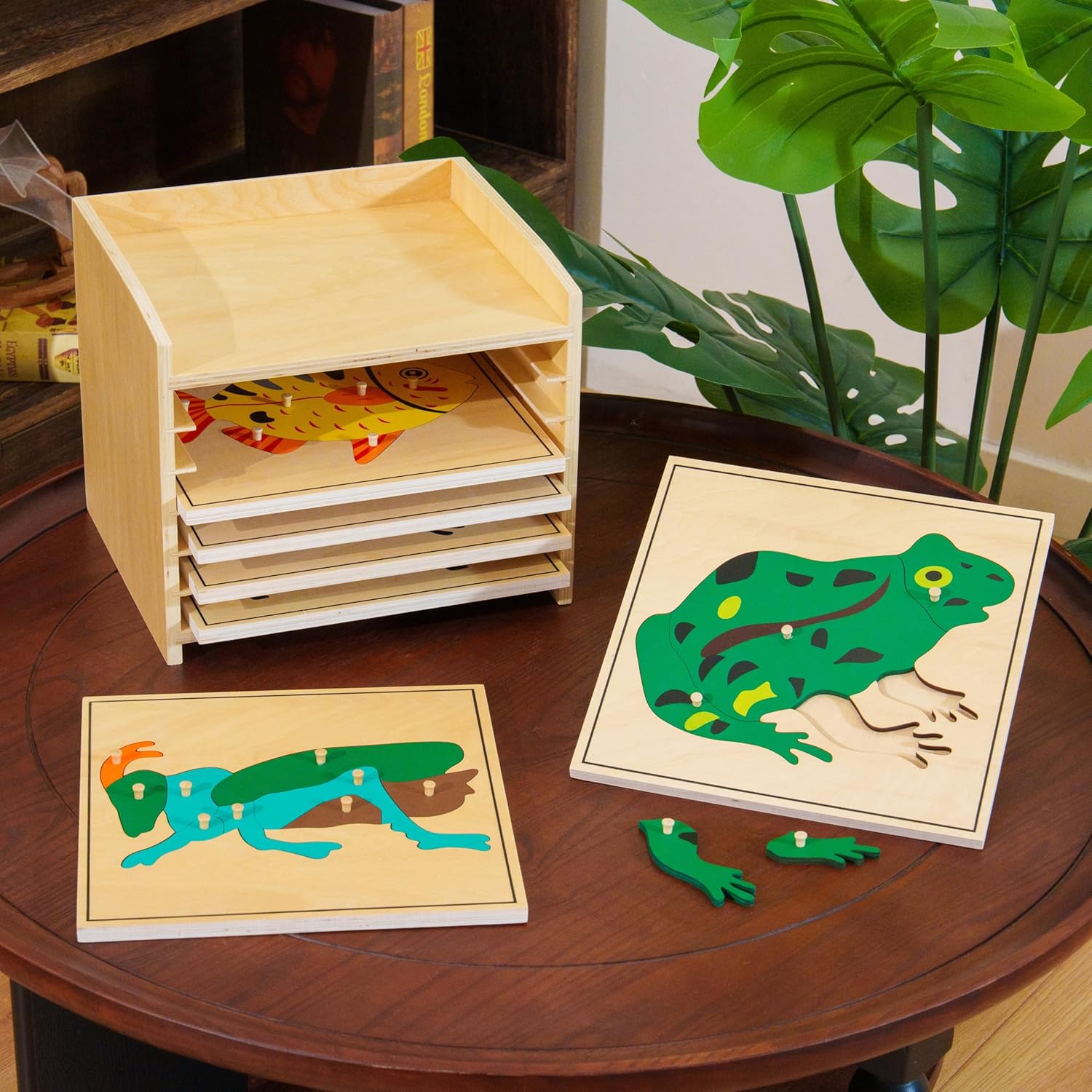 Premium Montessori Animal Puzzle Cabinet with 6 Puzzles 15" Horse Fish Turtle Bird Frog Ant– Wooden Zoology Biology Materials for Kids, Educational Sensory Toys Toddler Classroom Homeschool Learning