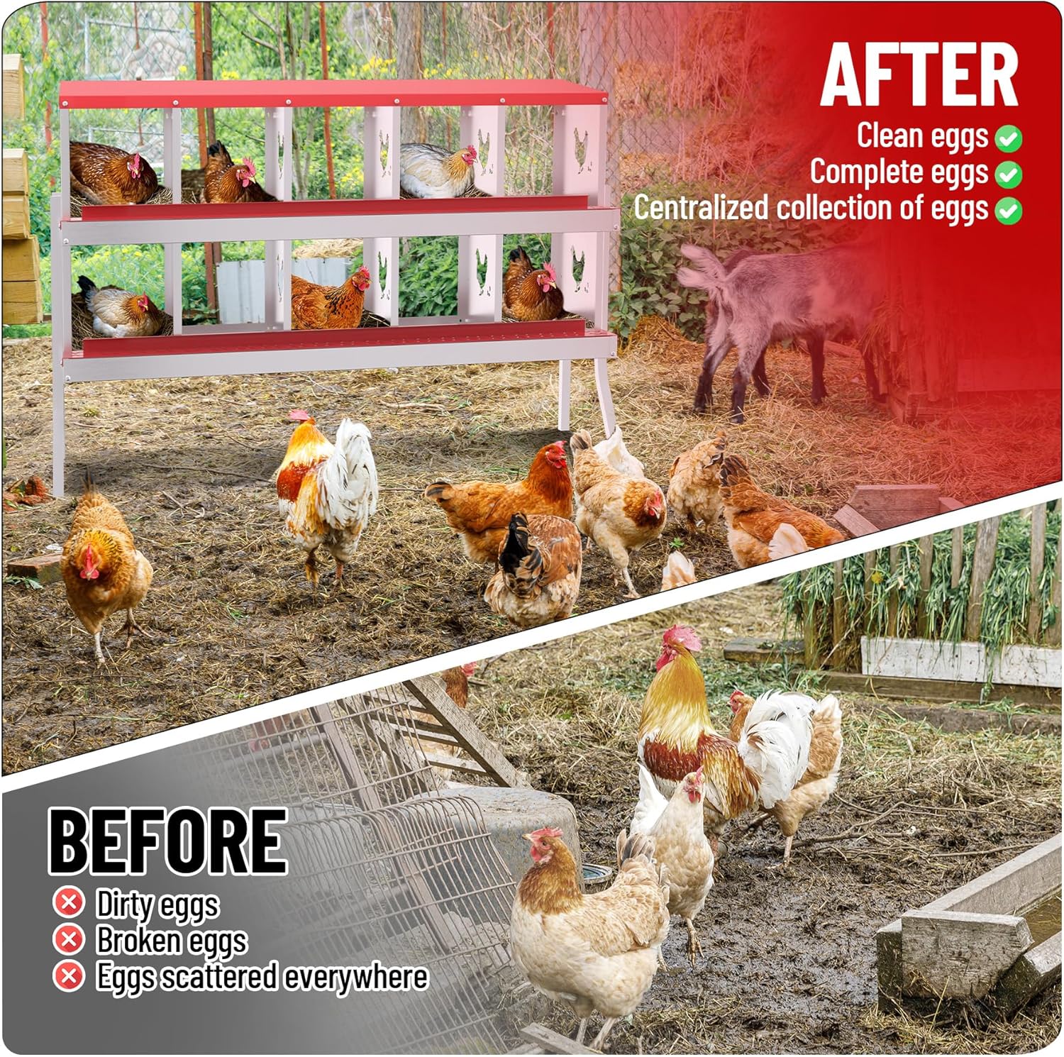 6/8/10 Holes Chicken Nesting Box Coop Chicken Egg Laying Boxes Egg Collection - Picture 13 of 85