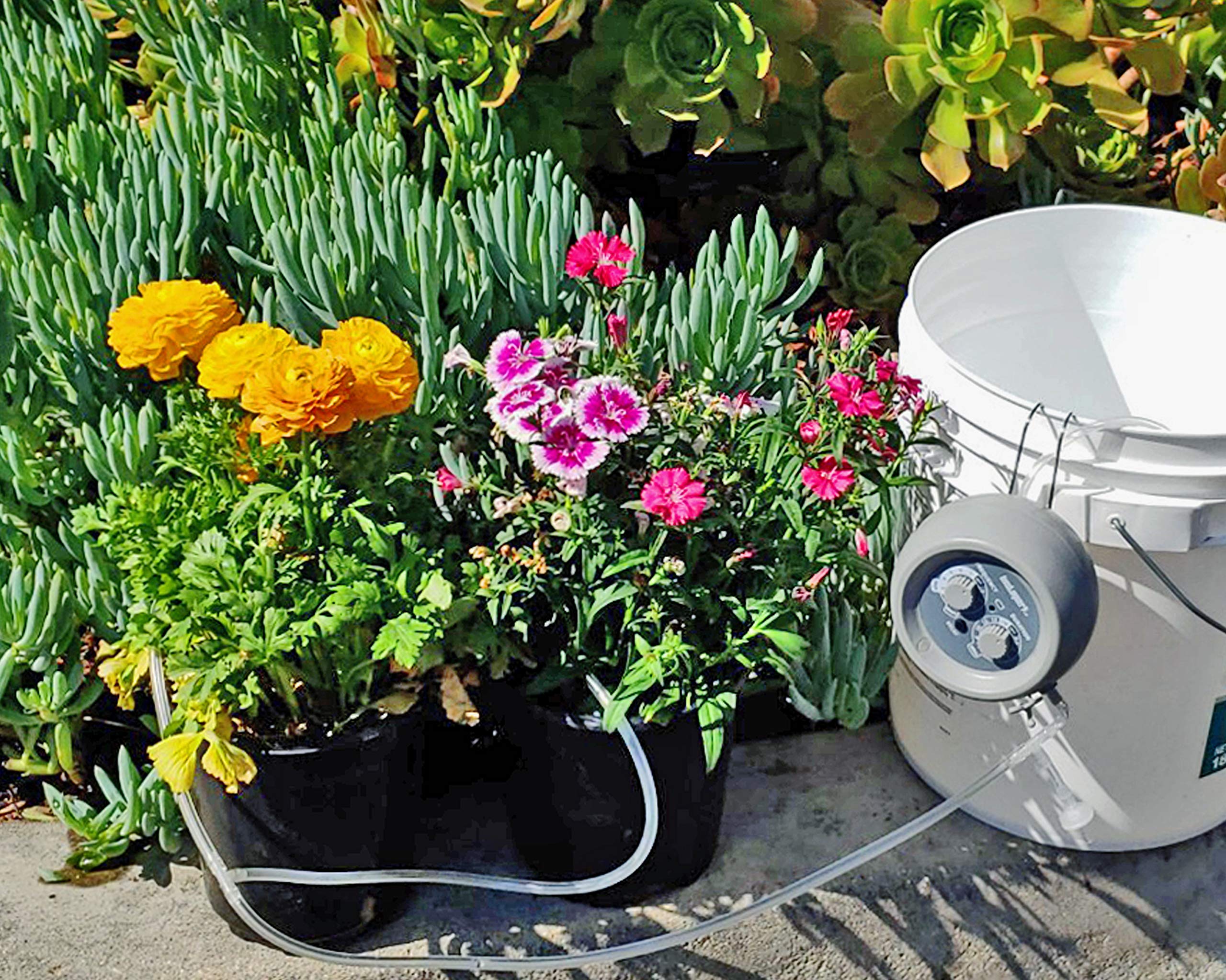 Buy Instapark Automatic Watering System, Automatic Drip Irrigation Kit