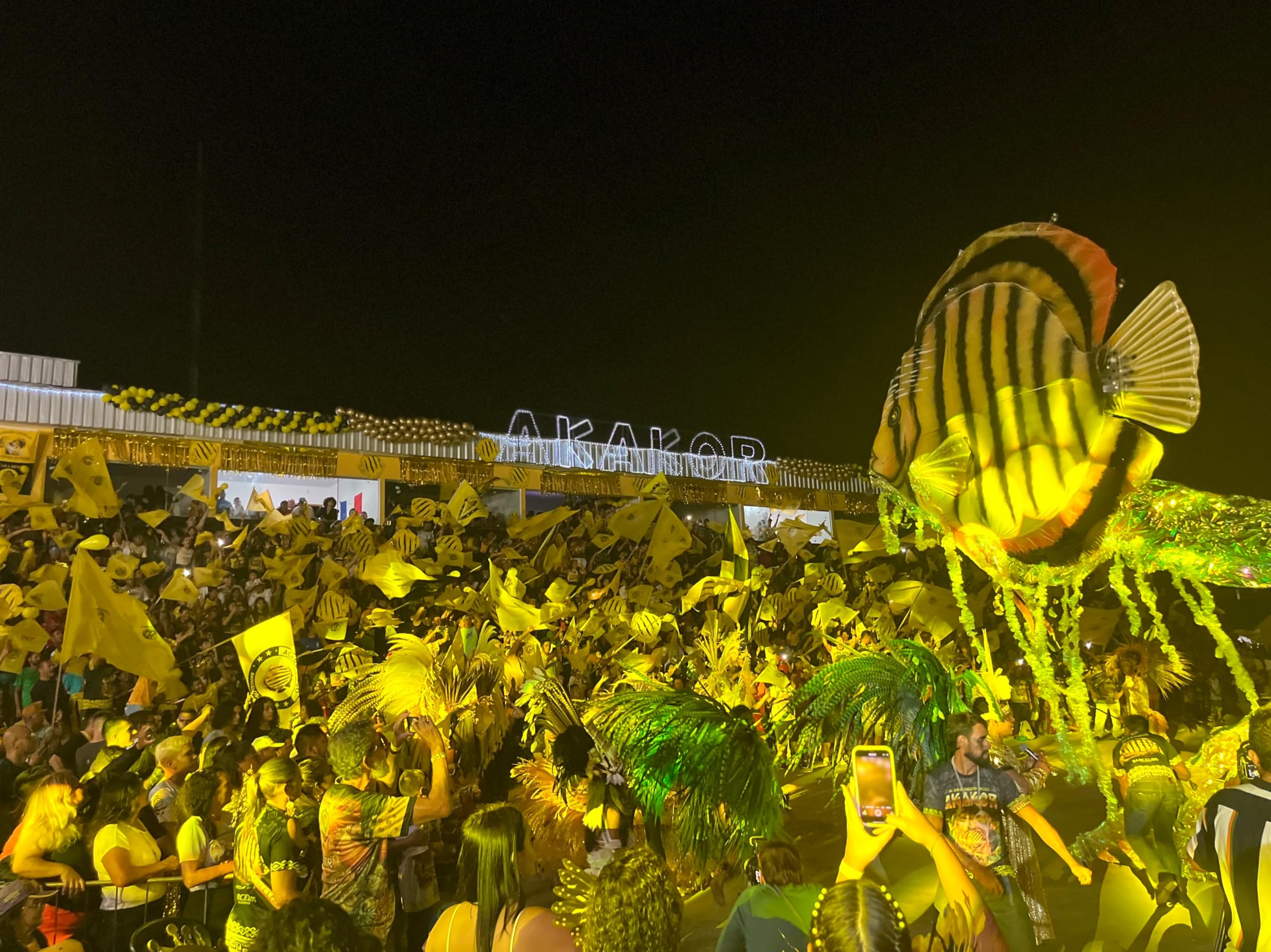 Peixe Ornamental Acará-Disco