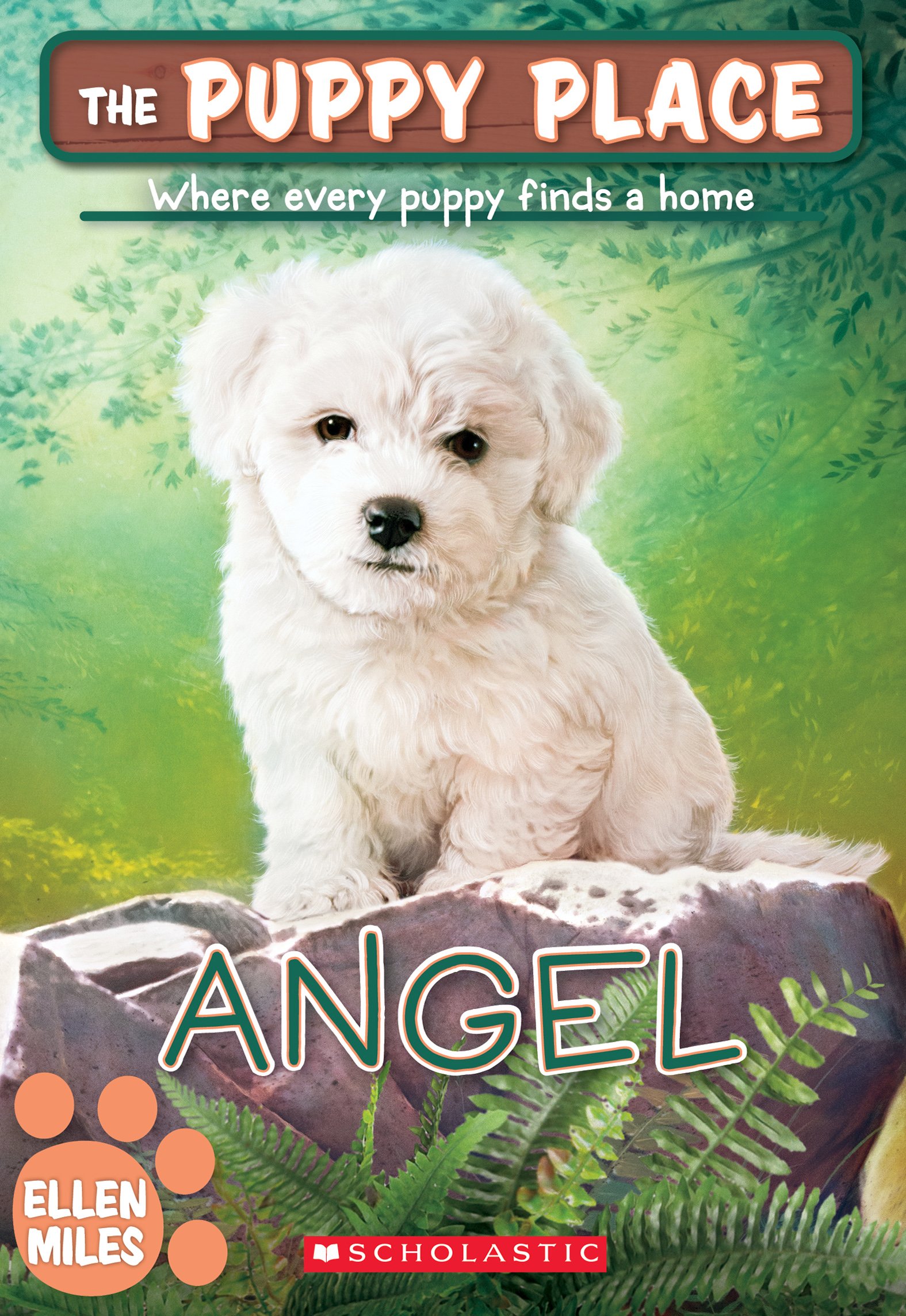 Cover of Angel (The Puppy Place #46)