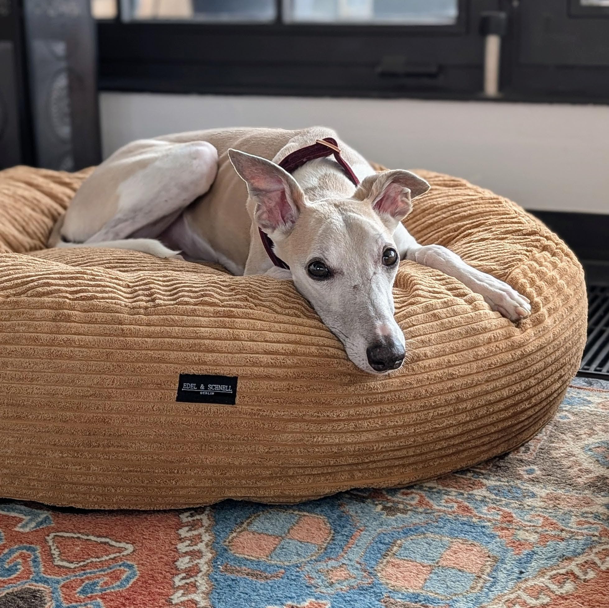 EDEL&SCHNELL orthopädisches Hundebett handgefertigt rund in der Farbe Sand mit robuster Cord Oberfläche, Whippet Greyhound Galgo Hundebett waschbar, 125 cm Durchmesser