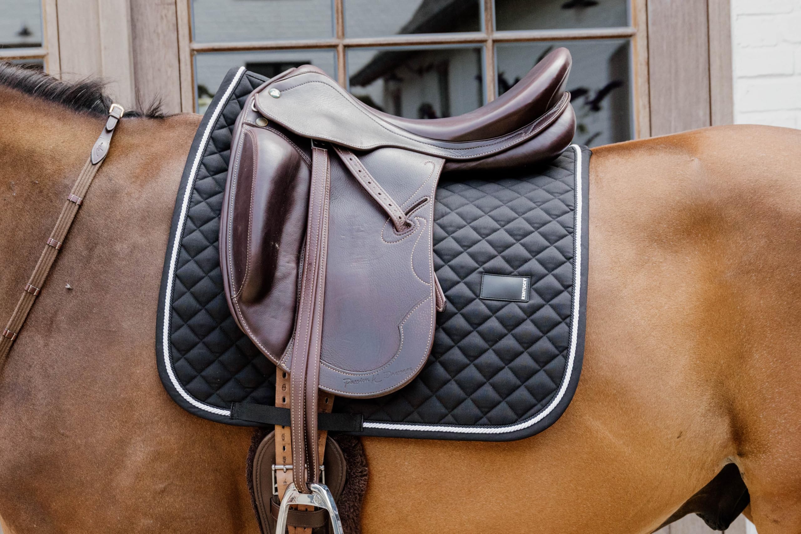 Kentucky - Manopla Diamond Rope Doma Negra
