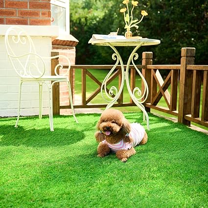 Amazon Co Z 人工芝 1m 2m 芝丈35mm 防カビ仕様 高密度 リアル人工芝 人工芝ロール 芝生シート 庭 ベランダ ガーデン 人工芝 Amazon Co Z 人工芝 1m 2m 芝丈35mm 防カビ仕様 高密度 リアル人工芝 人工芝ロール 芝生シート 庭 ベランダ ガーデン 人工芝