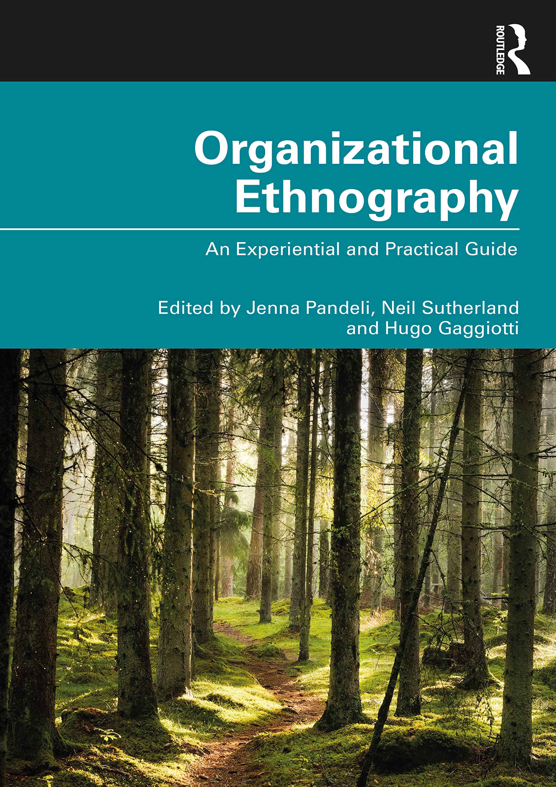 Organizational Ethnography by Jenna Pandeli, Neil Sutherland,... - 9780367898687