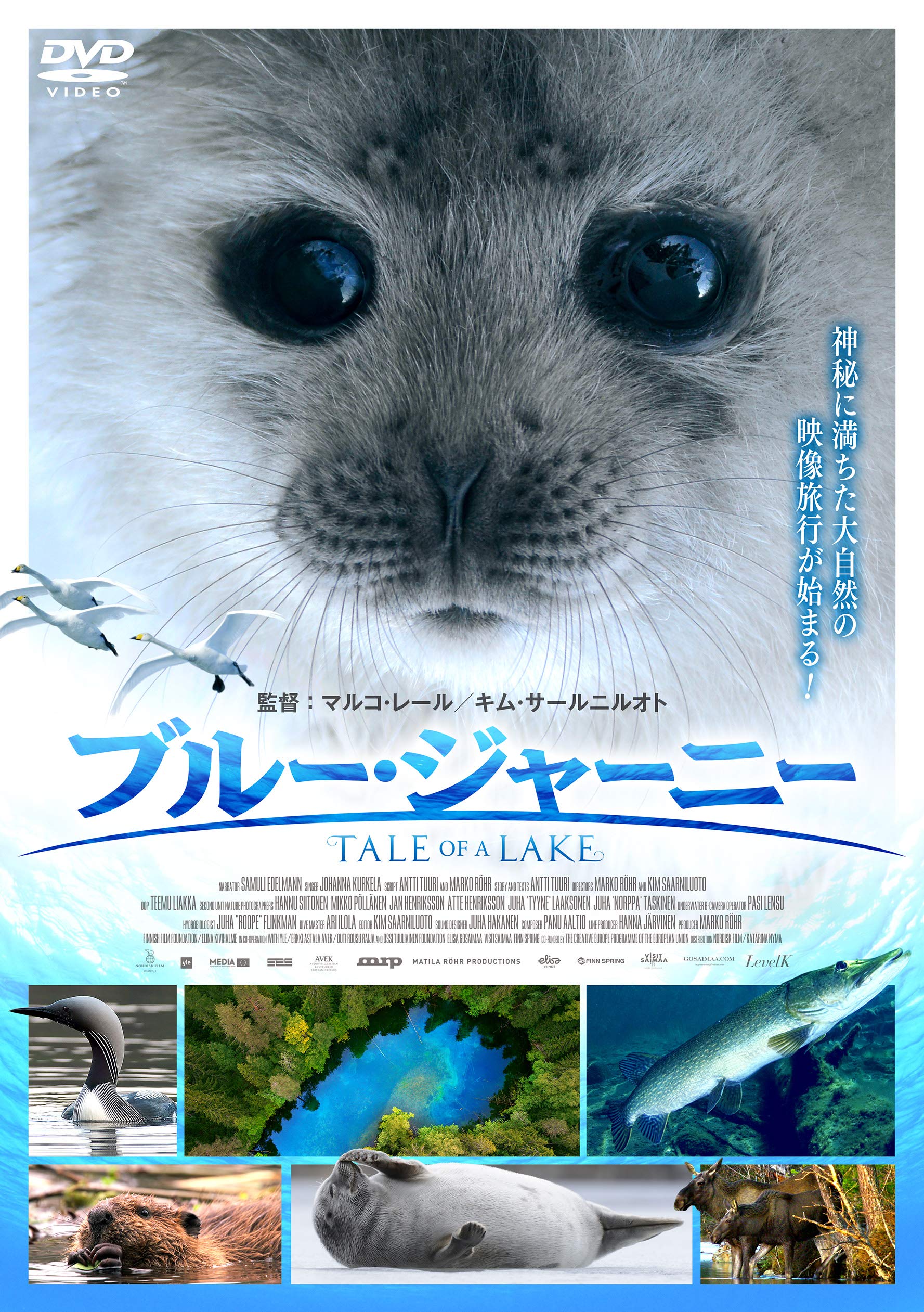 Amazon.co.jp: ブルー・ジャーニー [DVD] : ドキュメンタリー映画