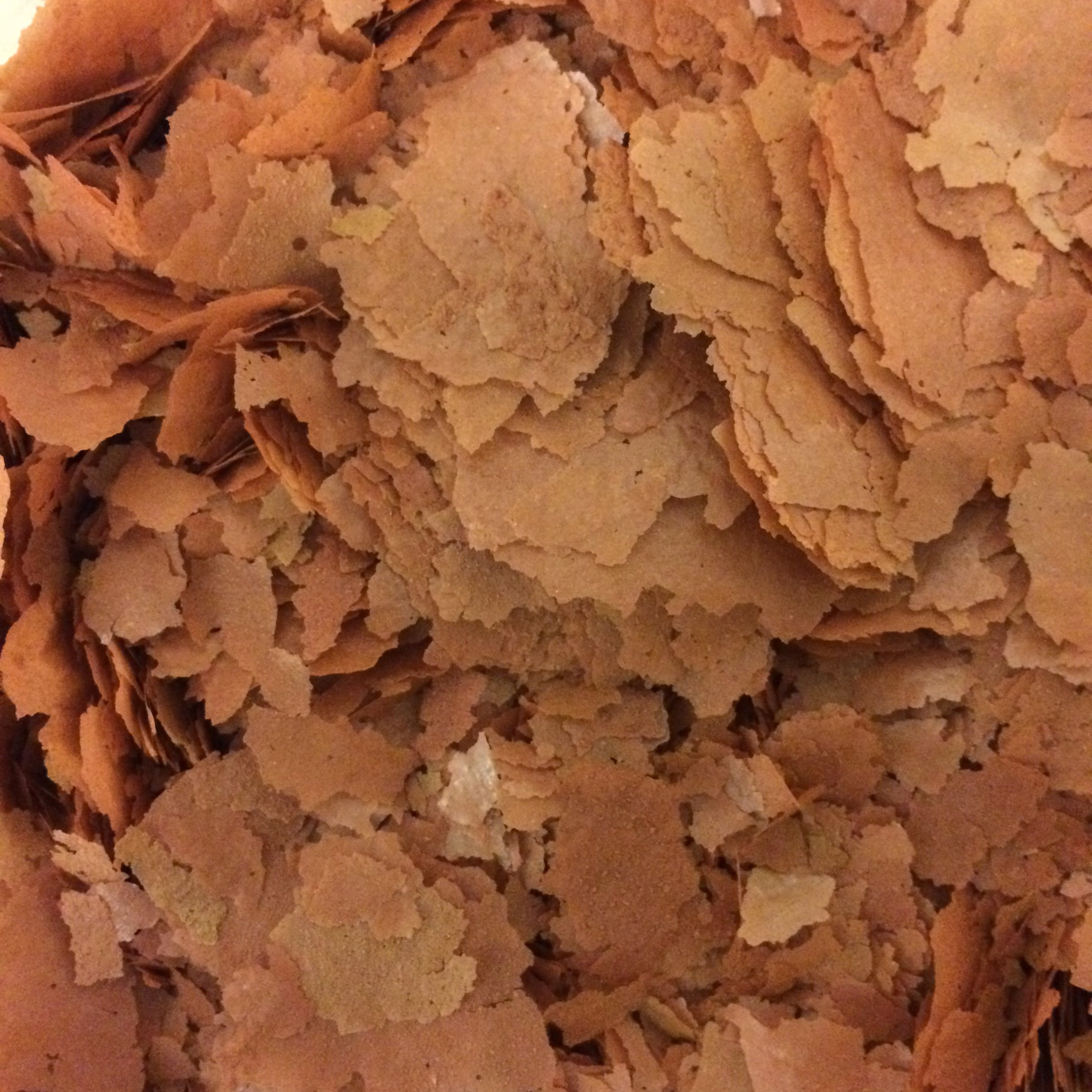Finest Fish Food 200g Brine Shrimp Flake Food Artemia for Tropical and Marine Fish