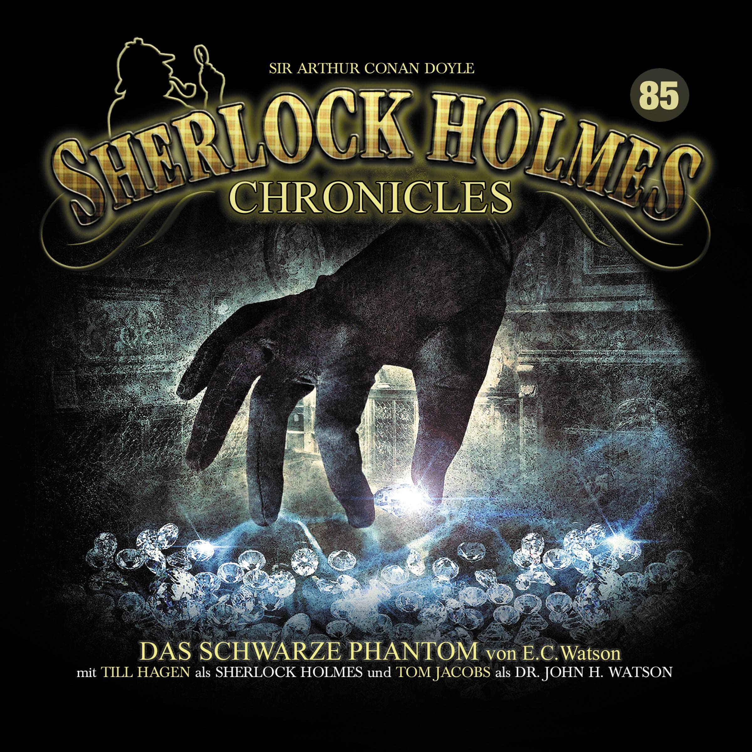 Cover art for Das schwarze Phantom